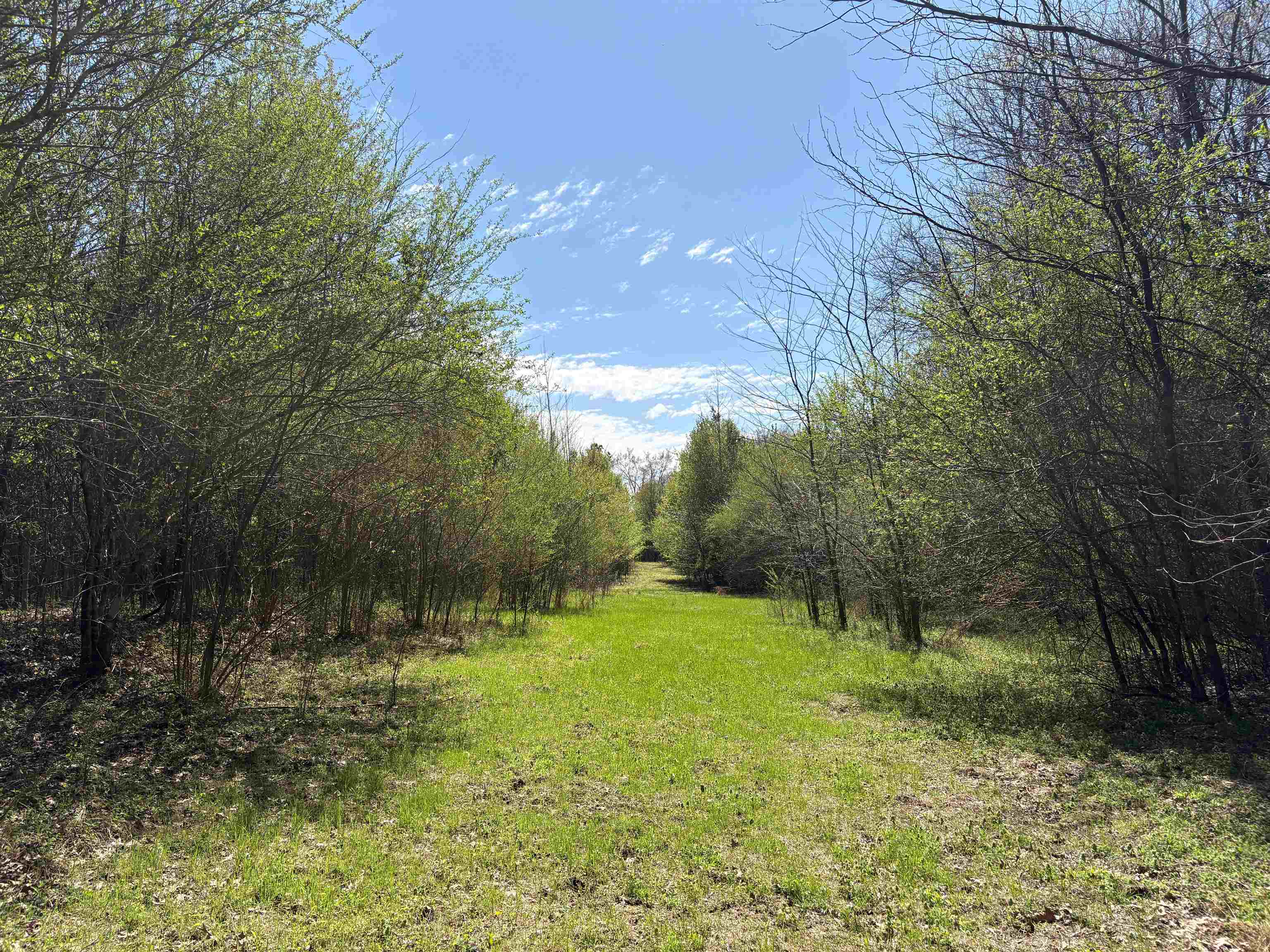 16055 Hwy 76 Hwy Property Photo 6