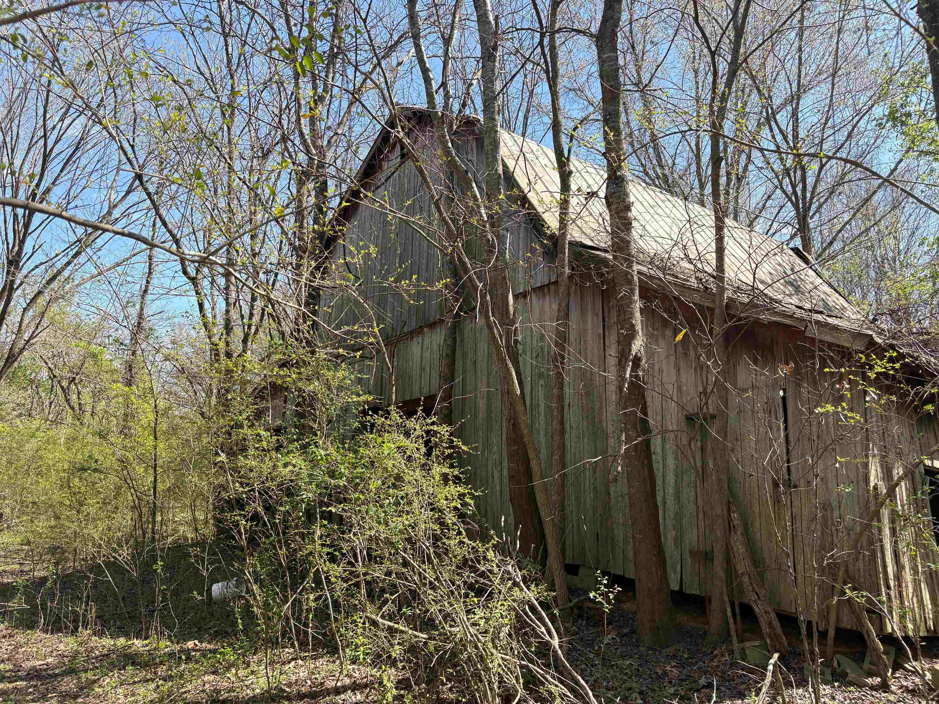 16055 Hwy 76 Hwy Property Photo 8