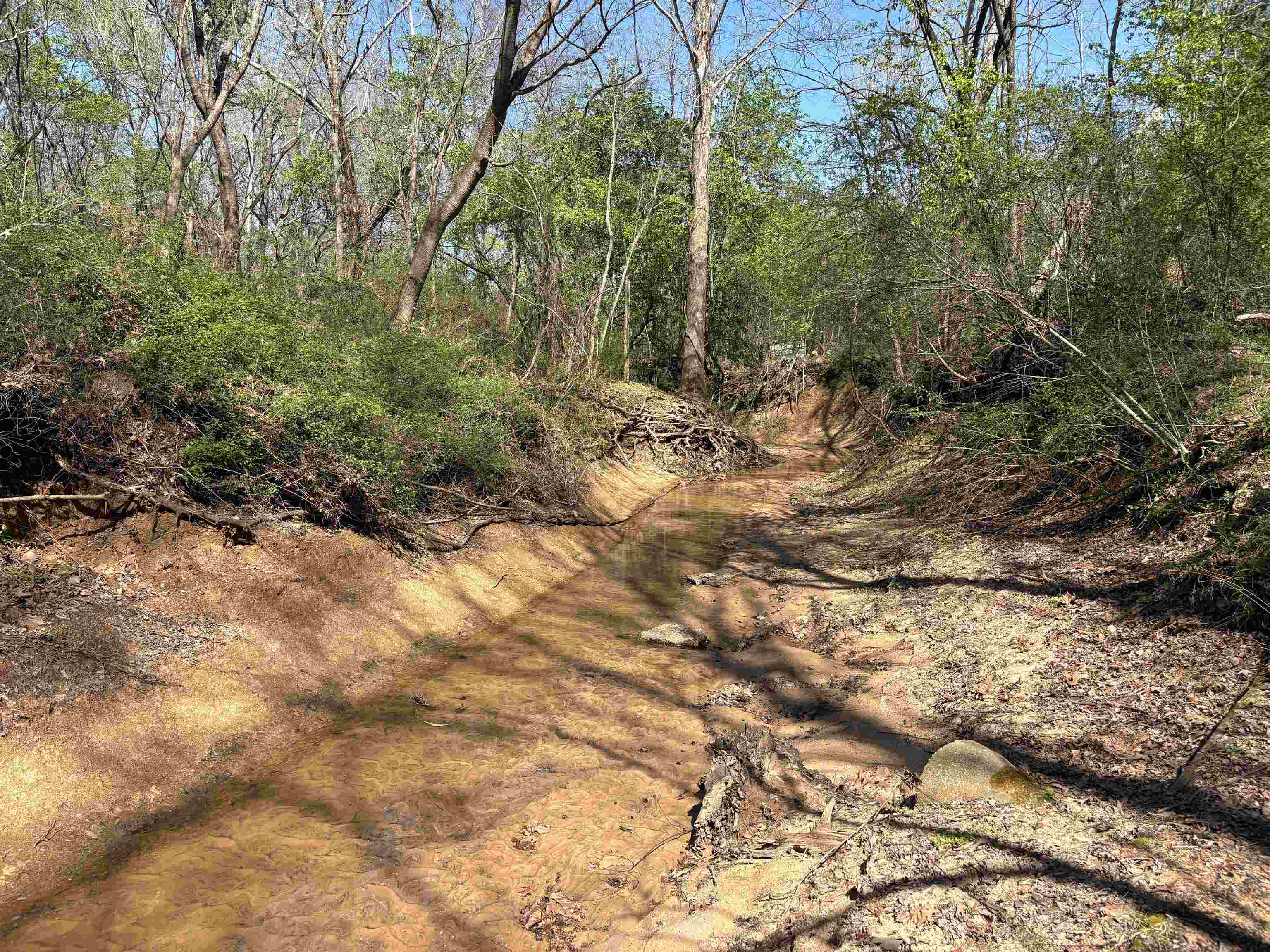 16055 Hwy 76 Hwy Property Photo 9