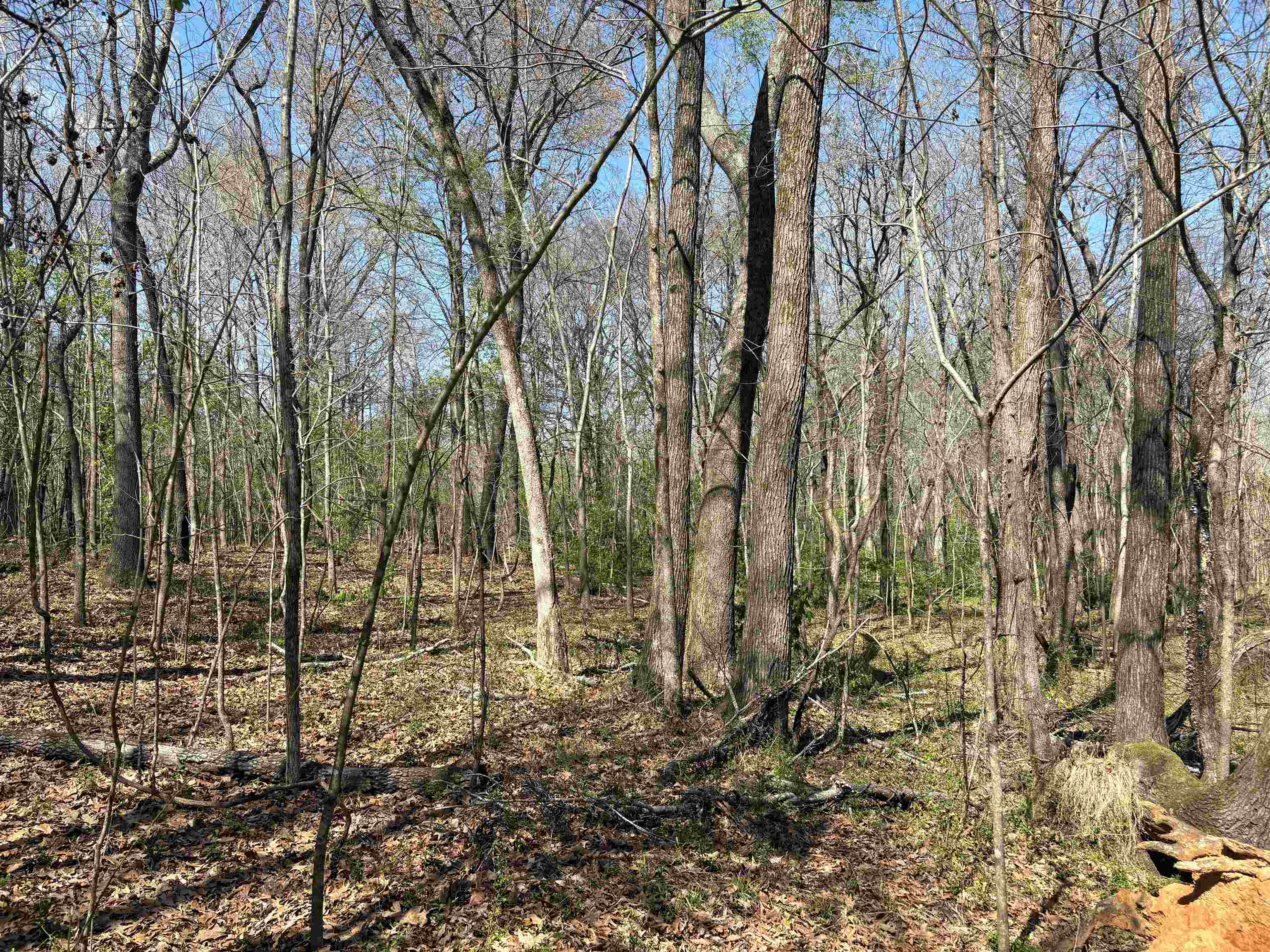 16055 Hwy 76 Hwy Property Photo 10