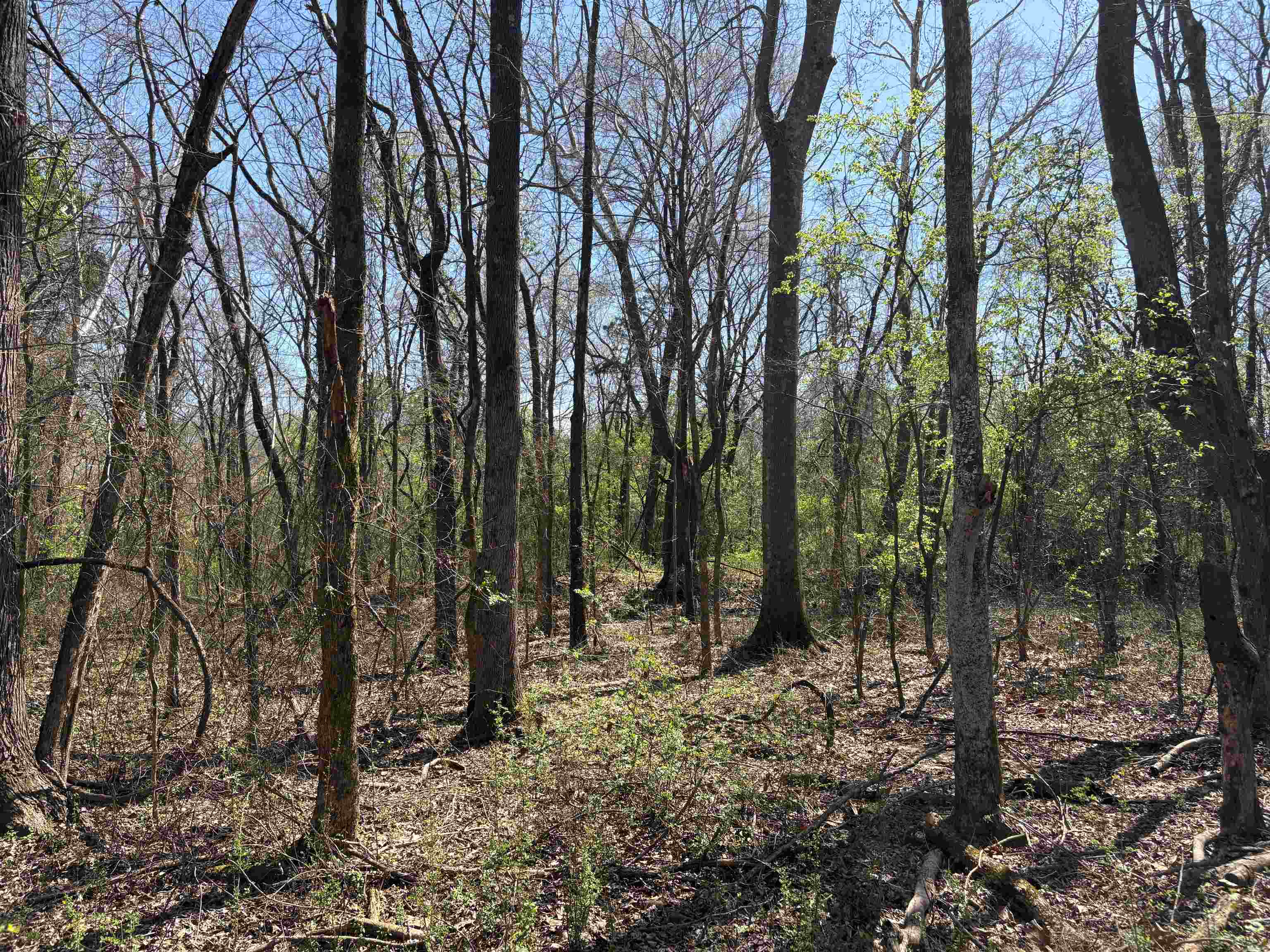 16055 Hwy 76 Hwy Property Photo 11