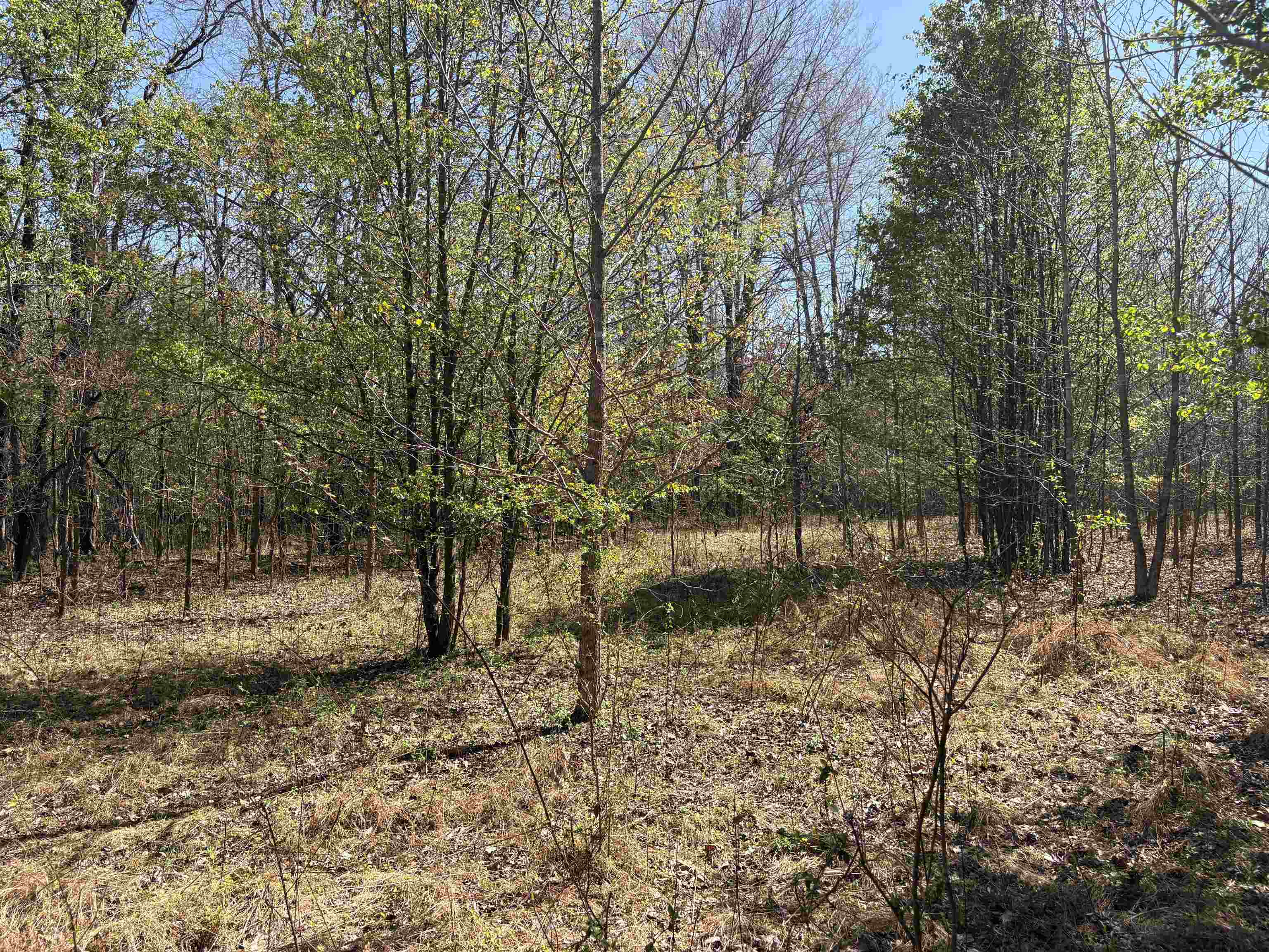 16055 Hwy 76 Hwy Property Photo 12