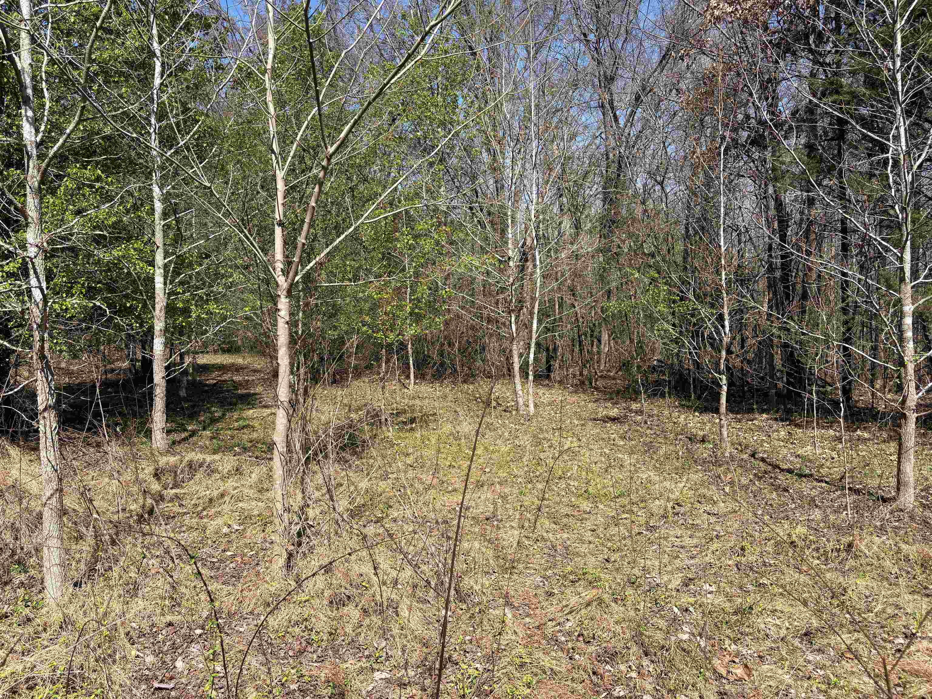 16055 Hwy 76 Hwy Property Photo 13