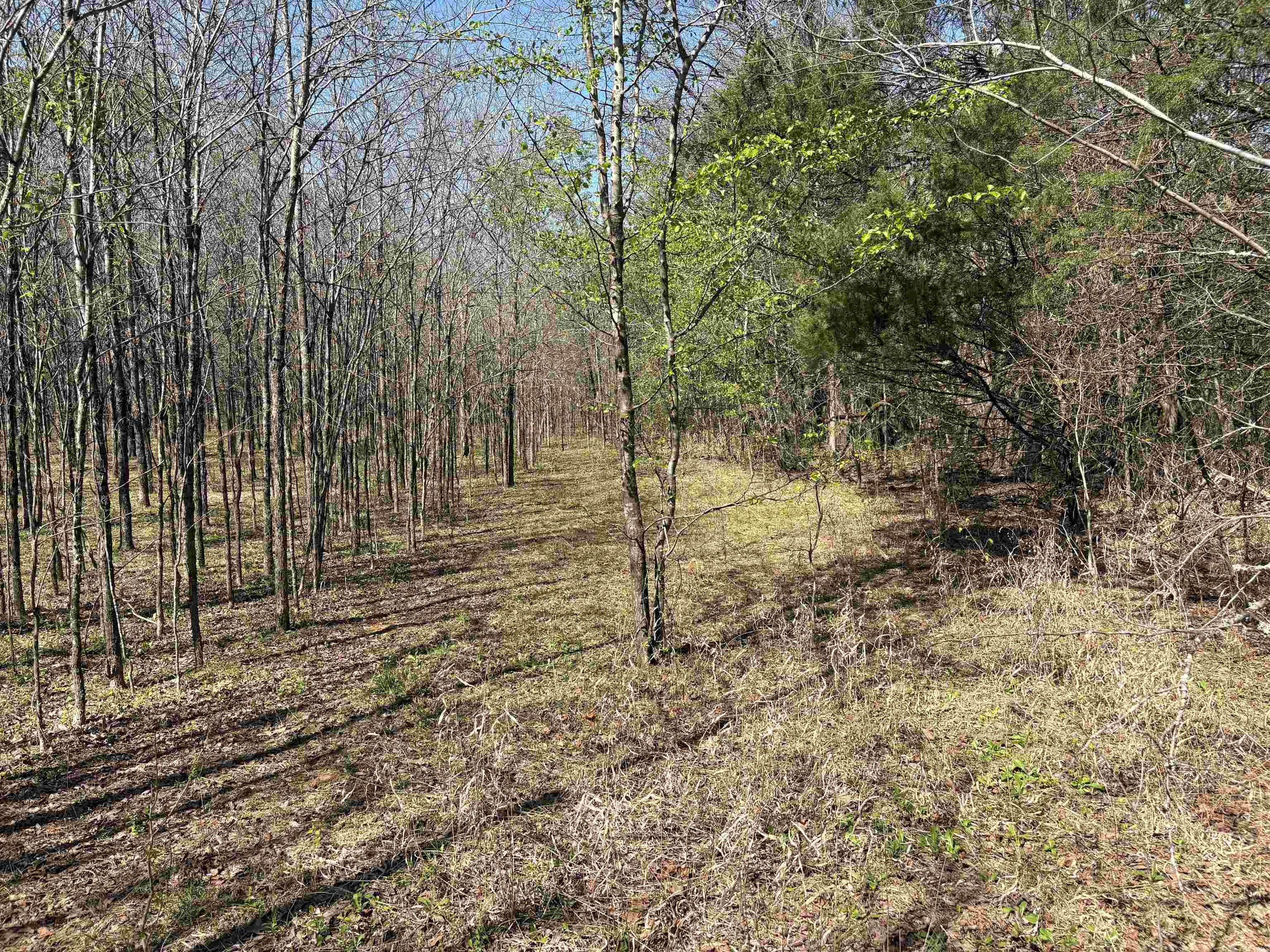 16055 Hwy 76 Hwy Property Photo 14
