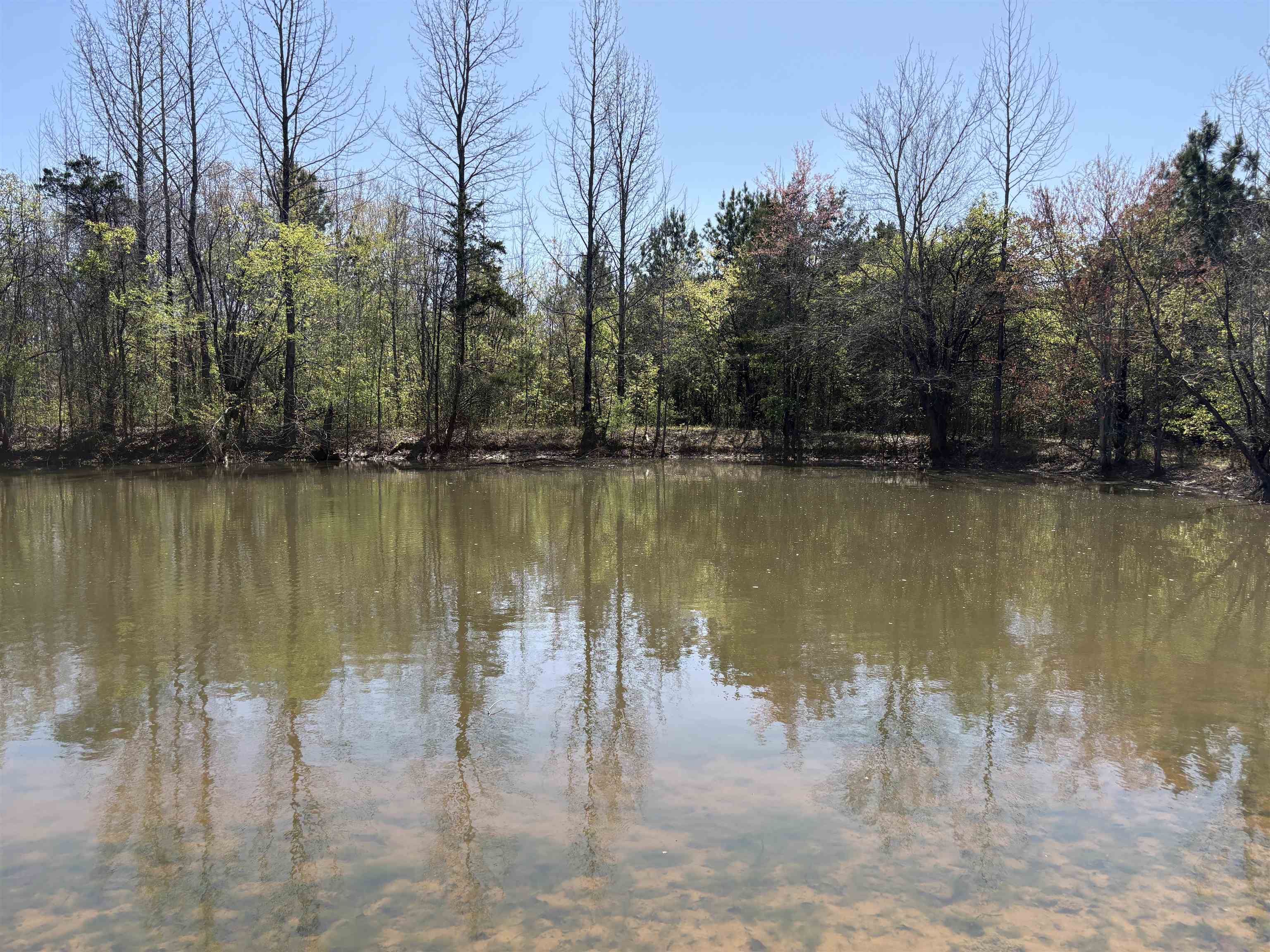 16055 Hwy 76 Hwy Property Photo 15