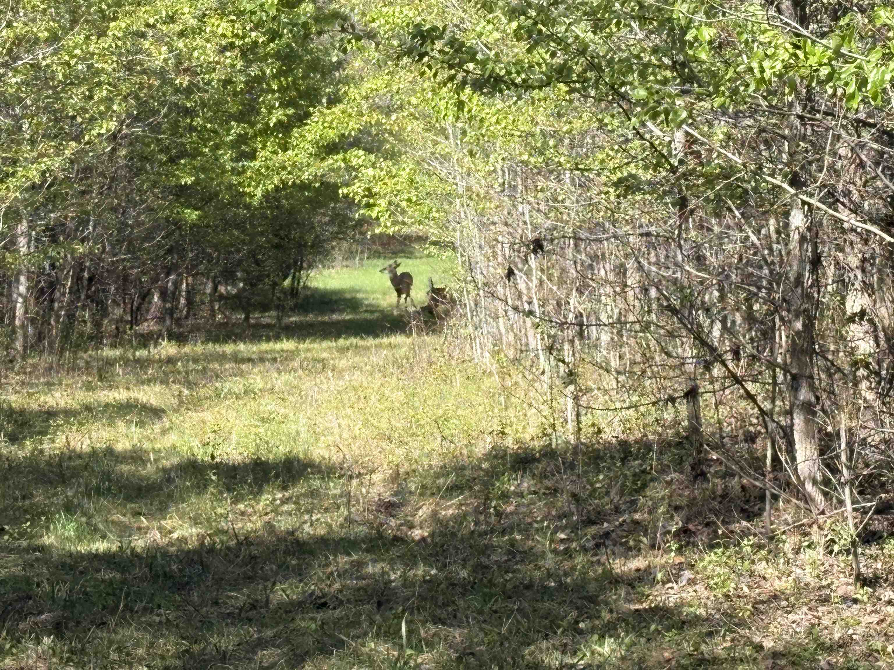 16055 Hwy 76 Hwy Property Photo 18