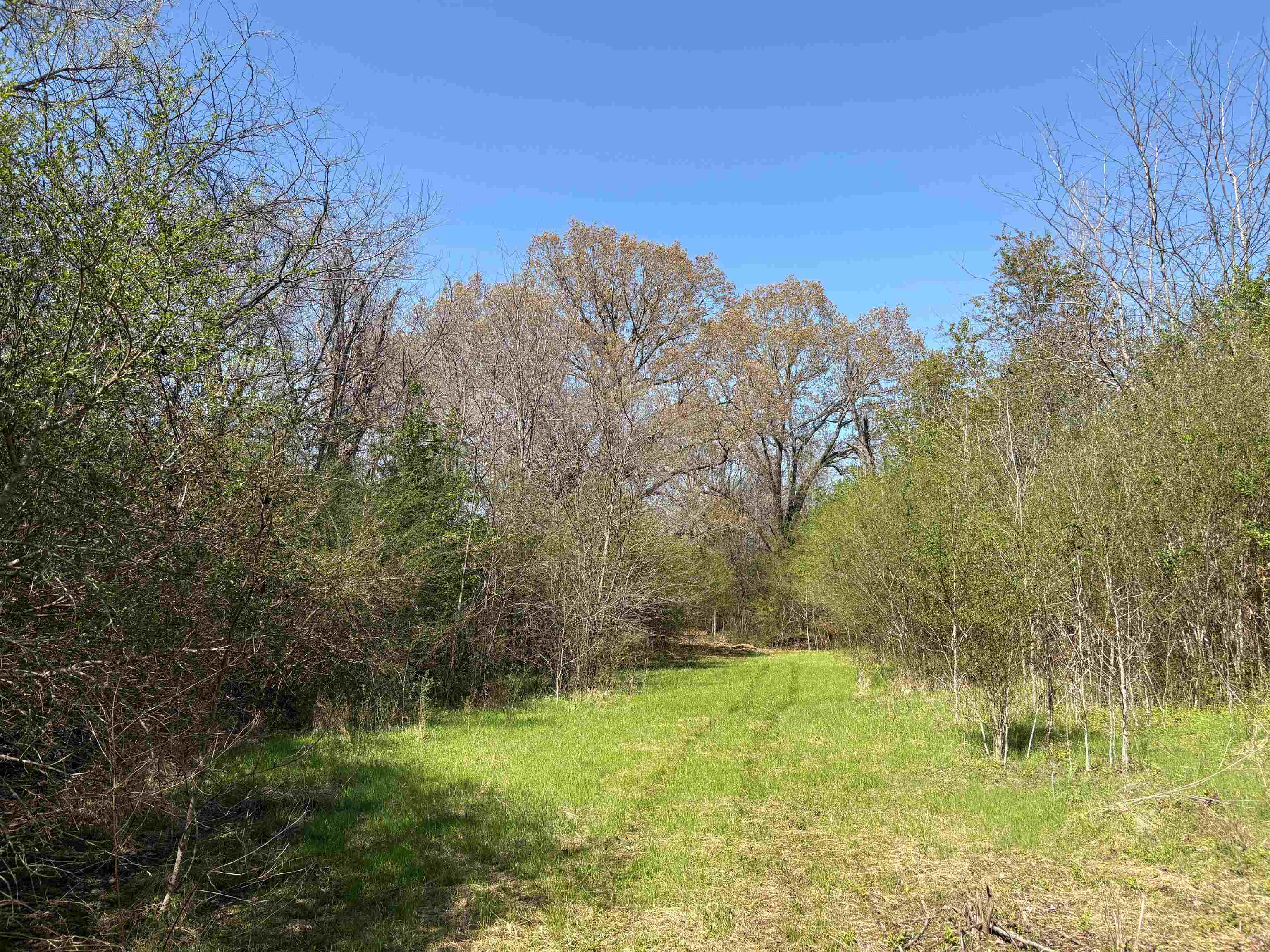 16055 Hwy 76 Hwy Property Photo 19