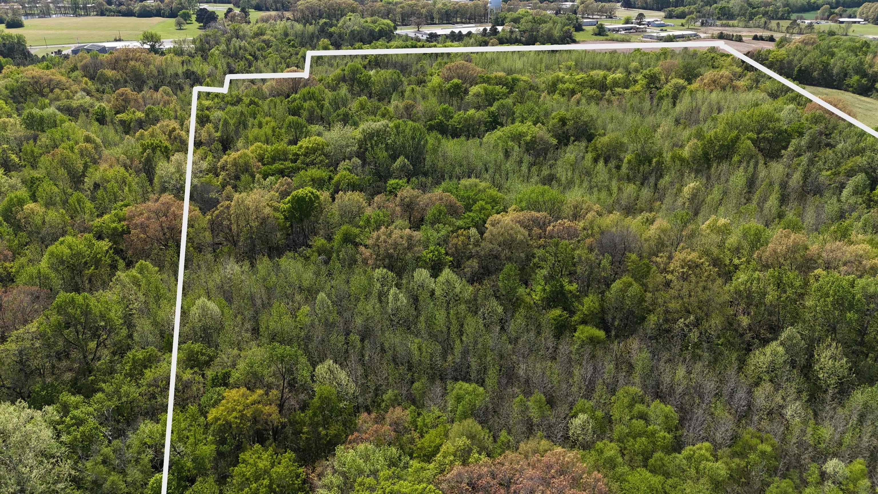 16055 Hwy 76 Hwy Property Photo 25