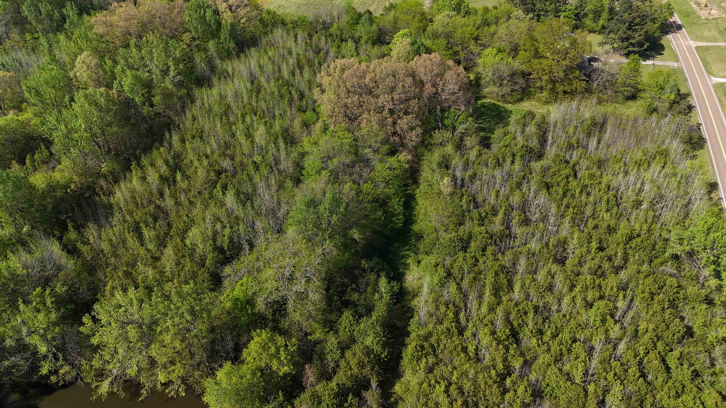 16055 Hwy 76 Hwy Property Photo 26