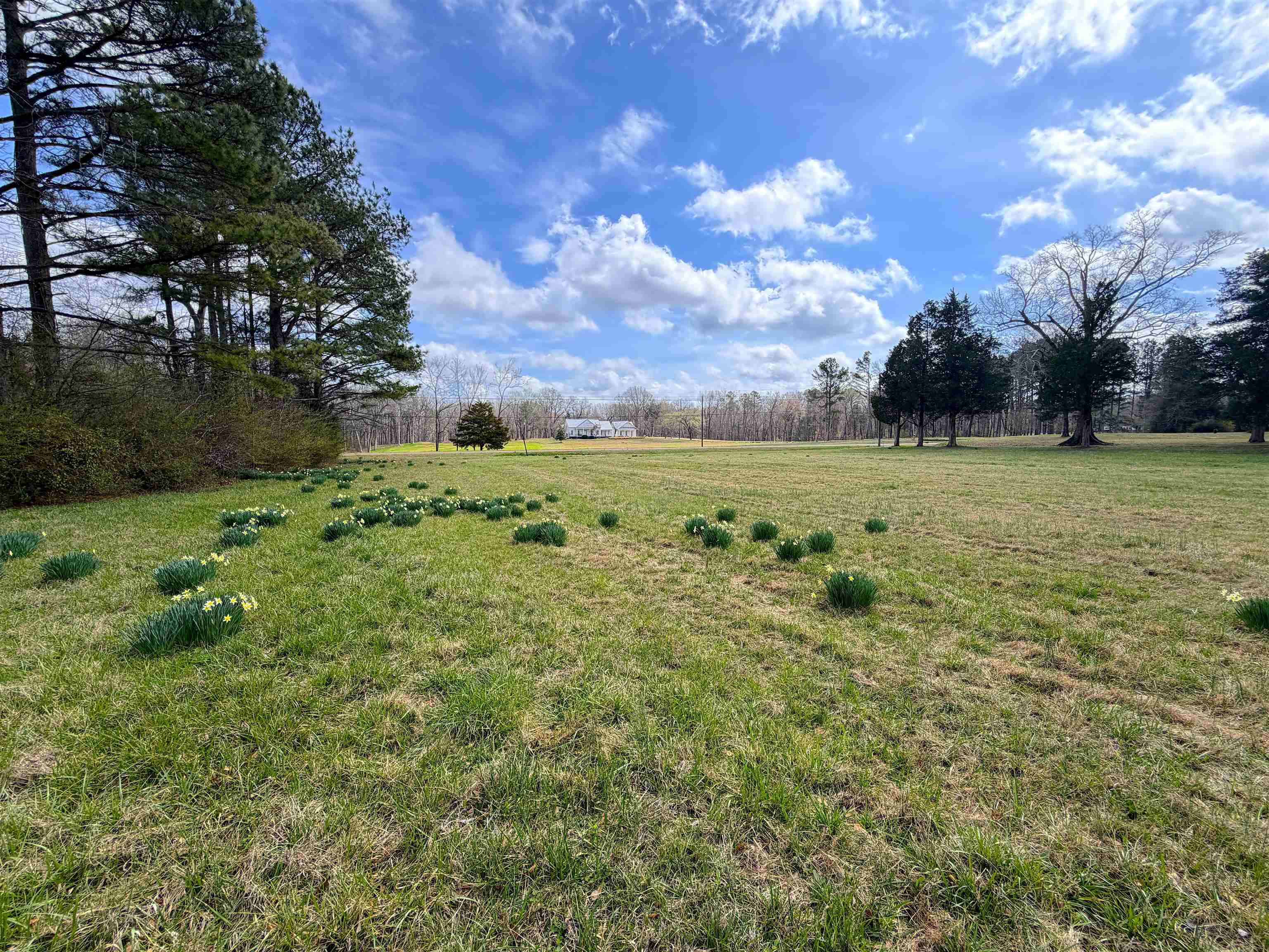 14360 La Grange Rd Property Photo 5