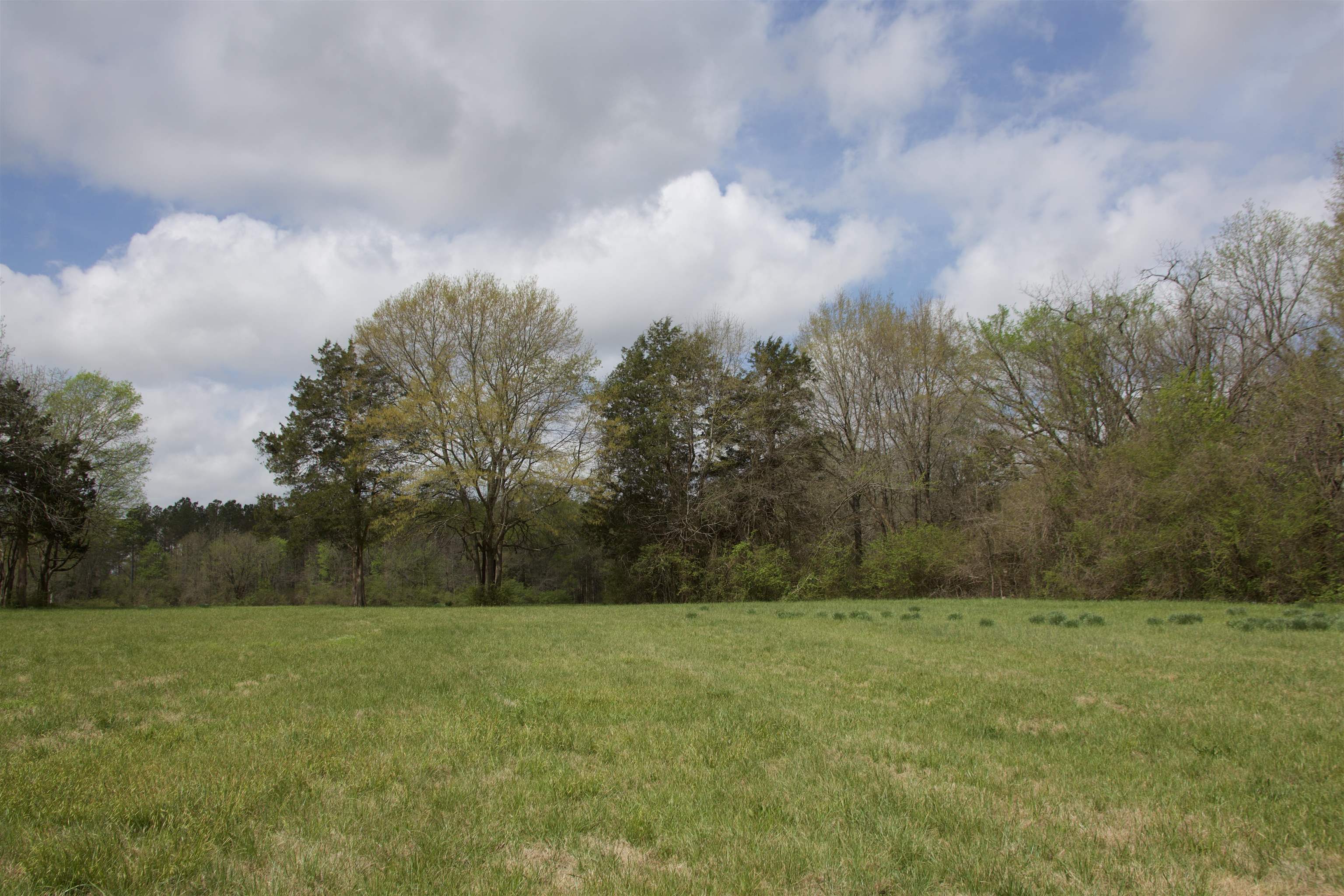 14360 La Grange Rd Property Photo 6