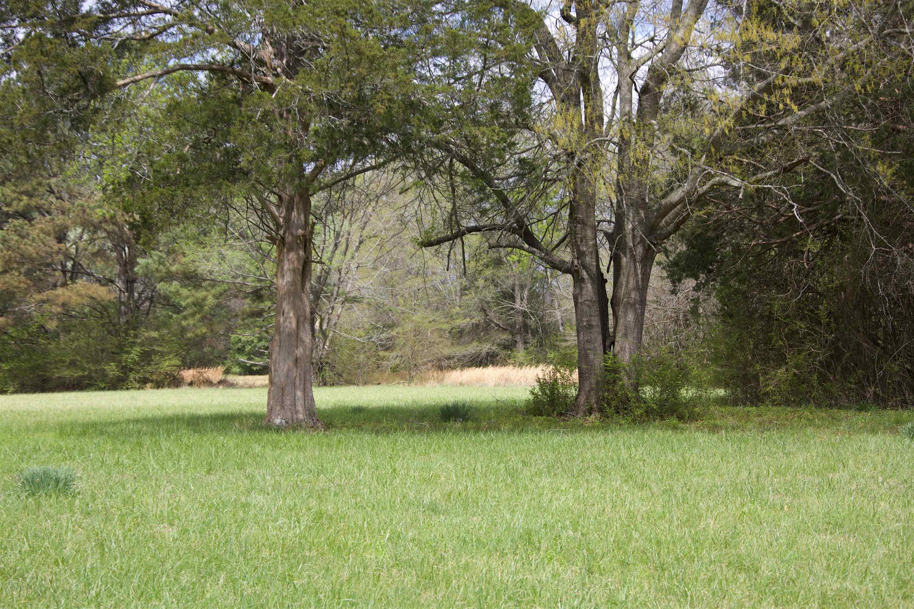 14360 La Grange Rd Property Photo 7