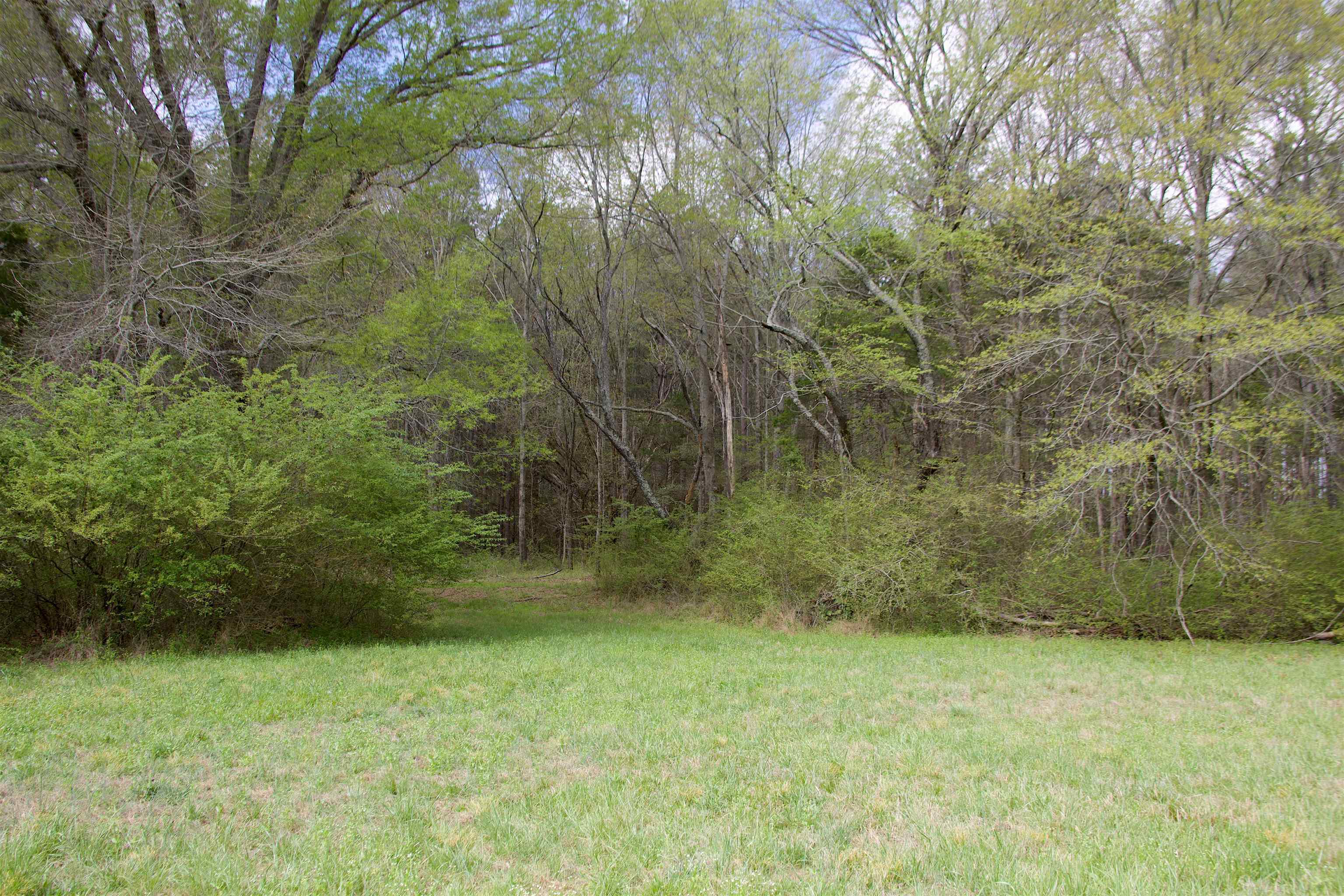 14360 La Grange Rd Property Photo 9
