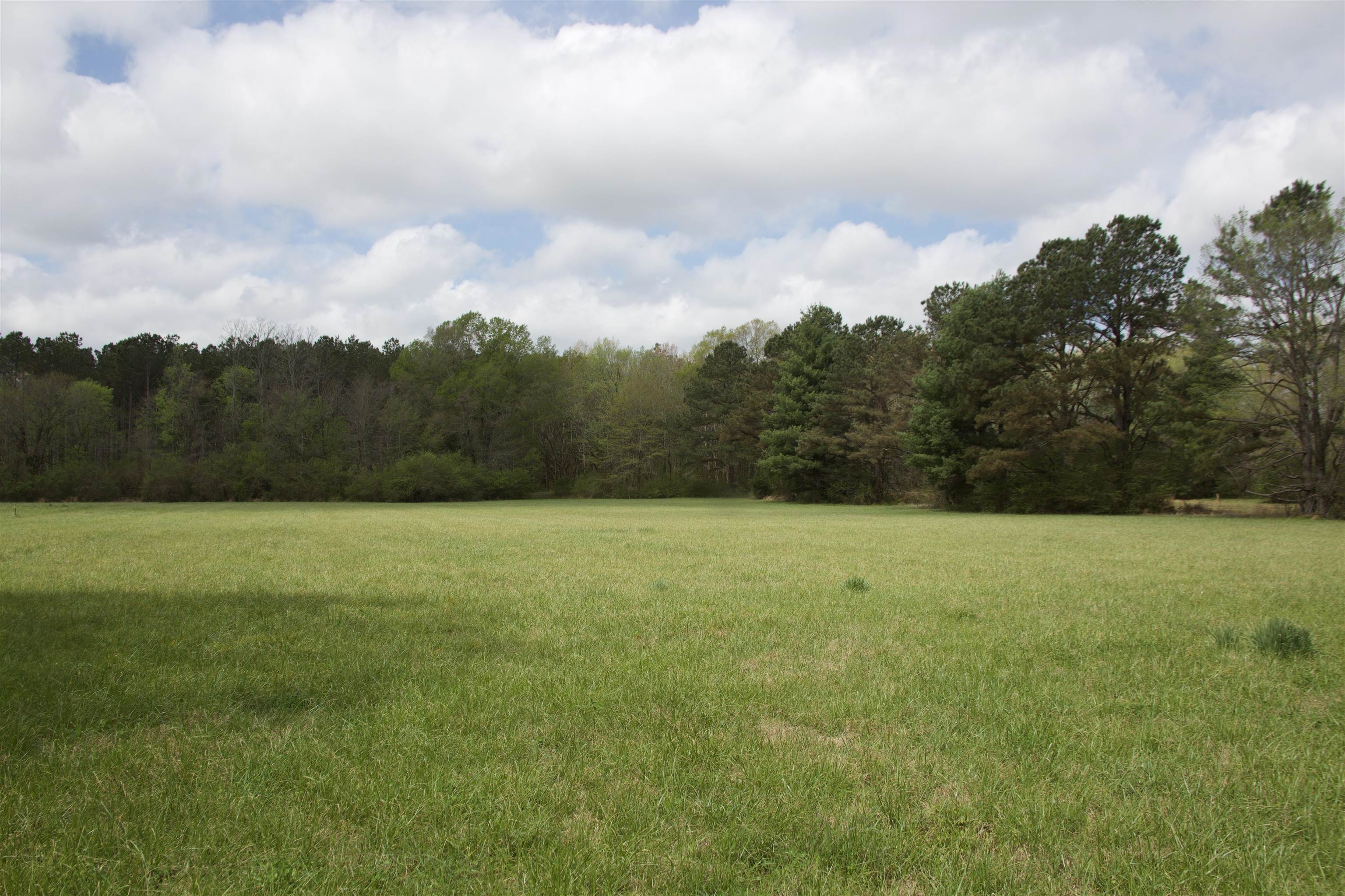 14360 La Grange Rd Property Photo 11