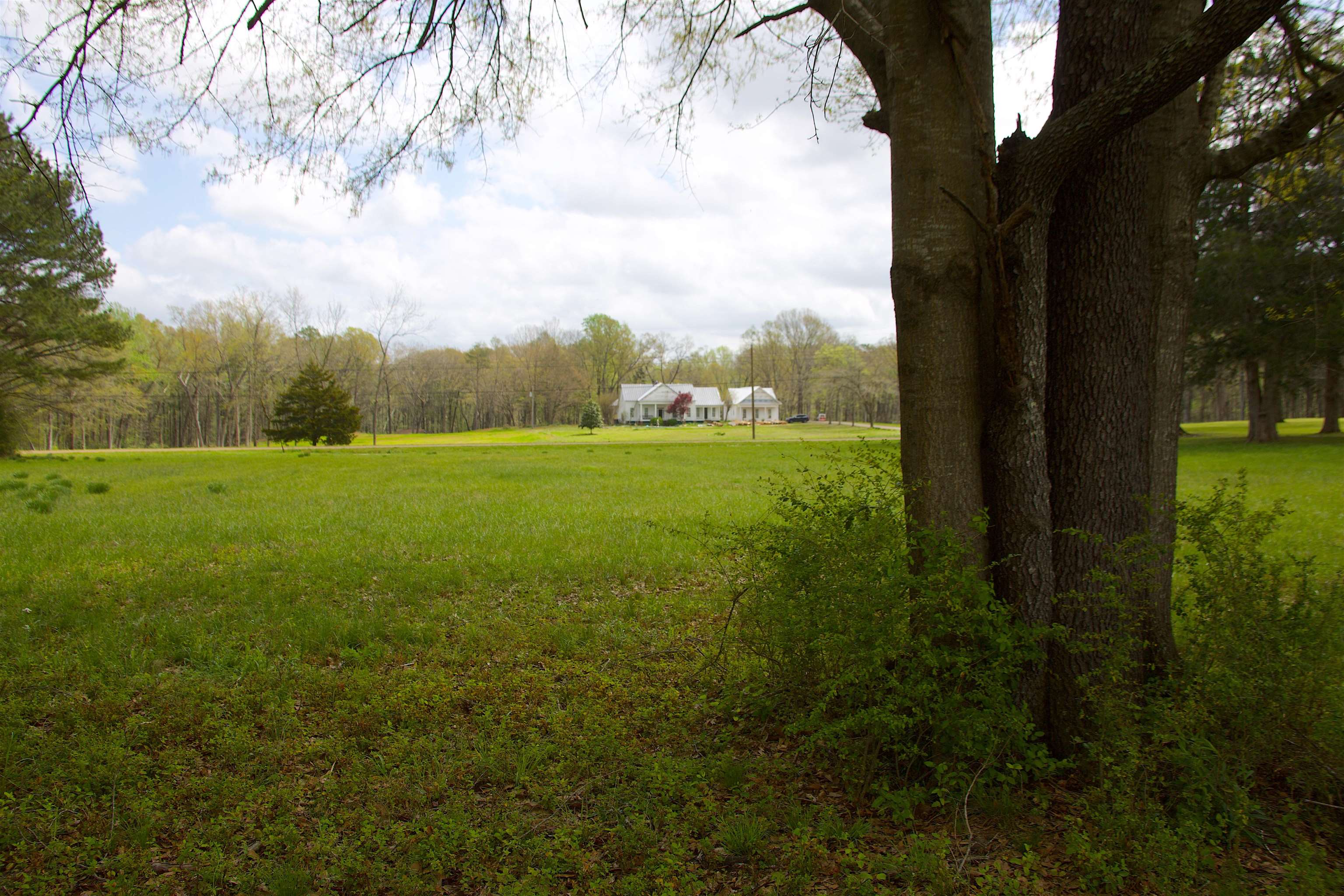 14360 La Grange Rd Property Photo 13
