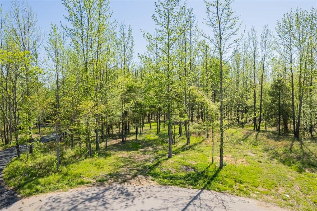 12820 Mags Ln Property Photo 5