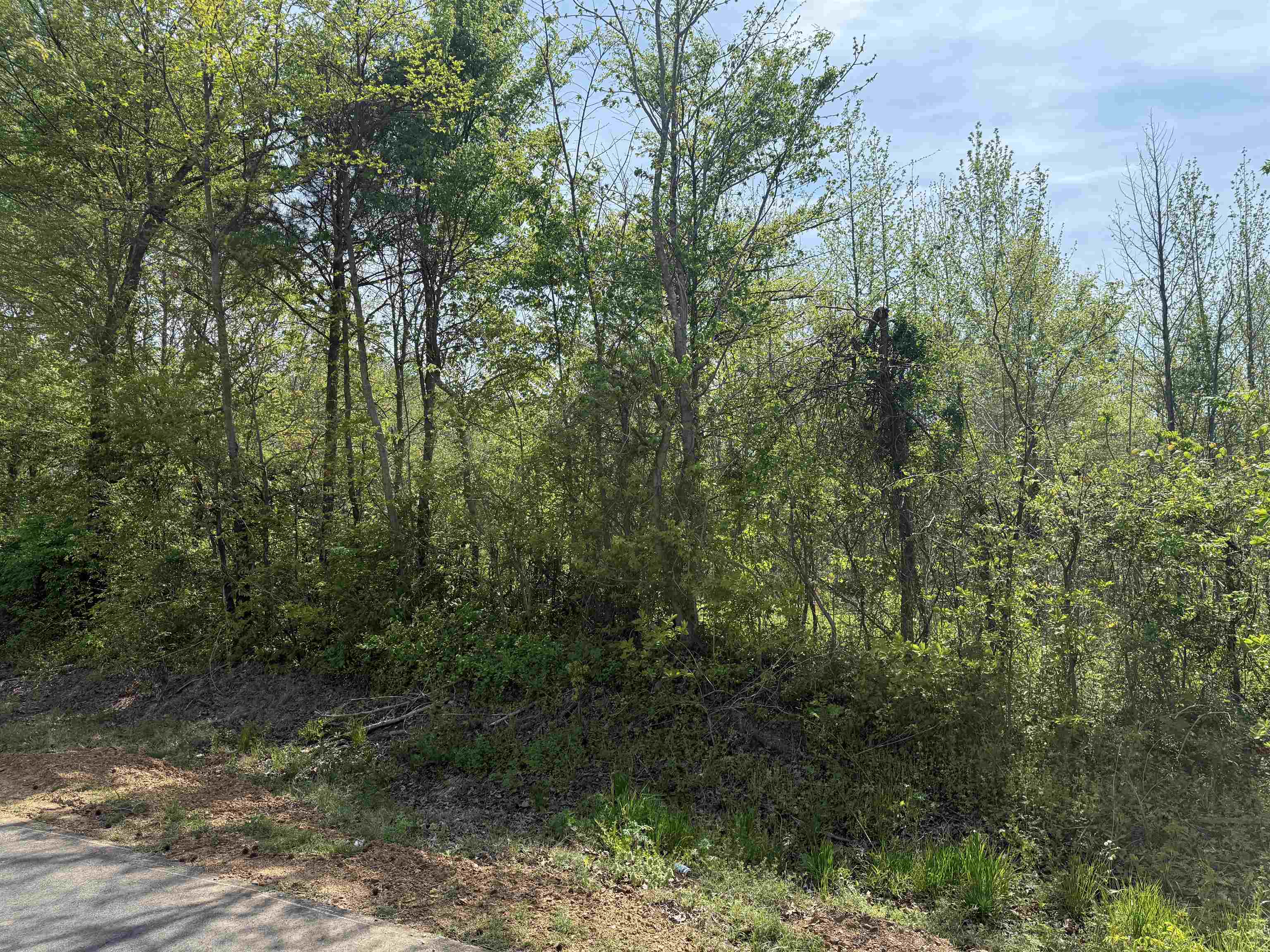 00 Needham Rd Property Photo 5
