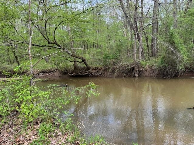 Lake Hardeman Rd Property Photo 3