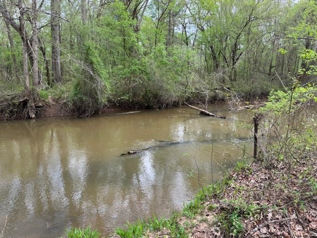 Lake Hardeman Rd Property Photo 5