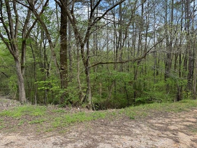 Lake Hardeman Rd Property Photo 7