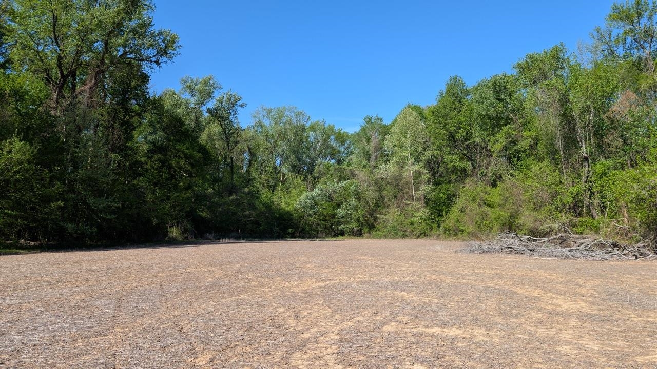 2480 Highland St Property Photo 6