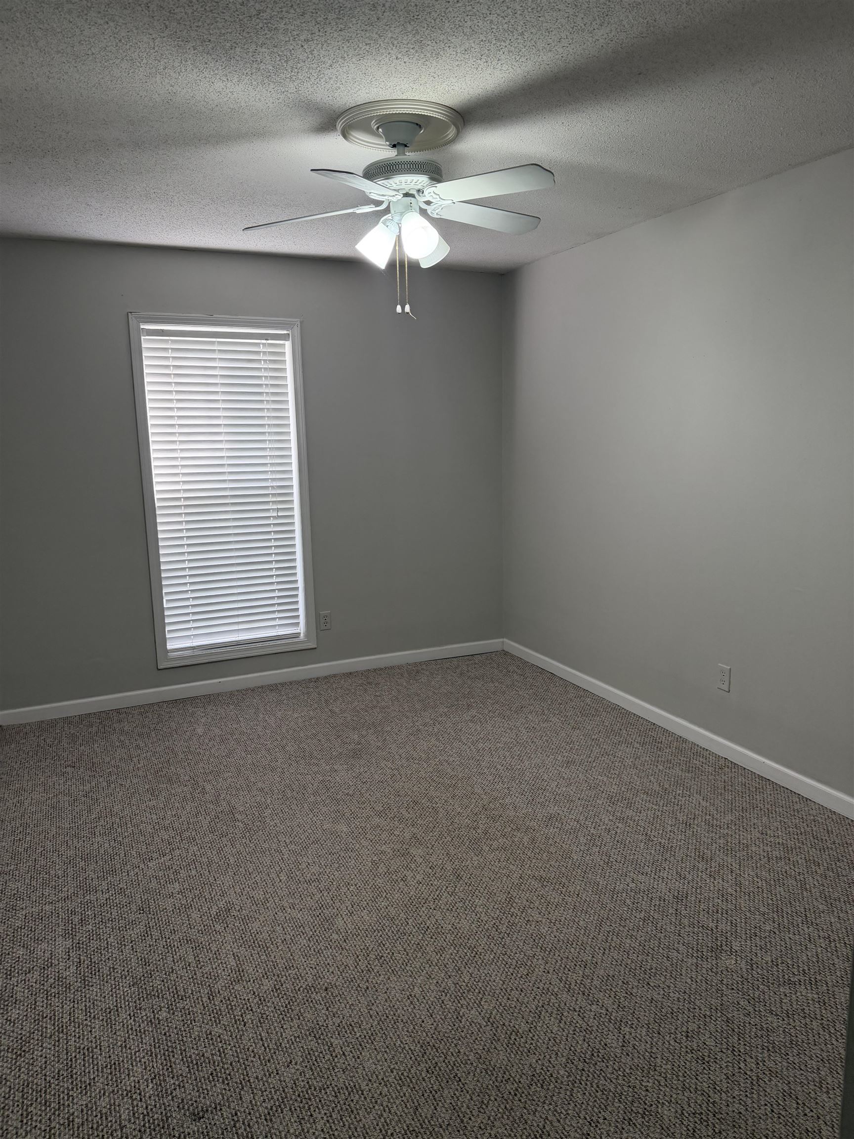 7919 Max St Property Photo 10
