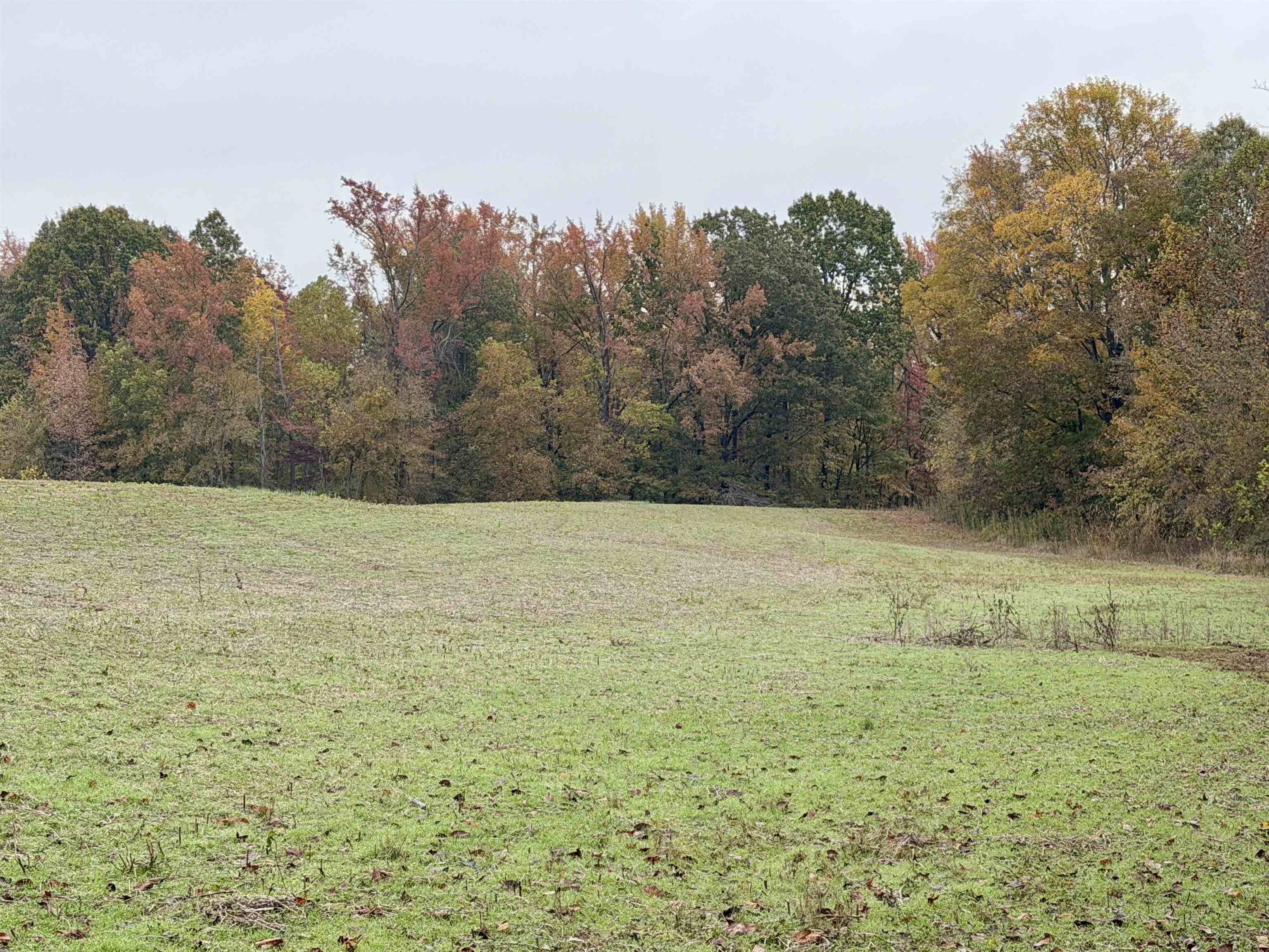 William Switch Rd Property Photo 1