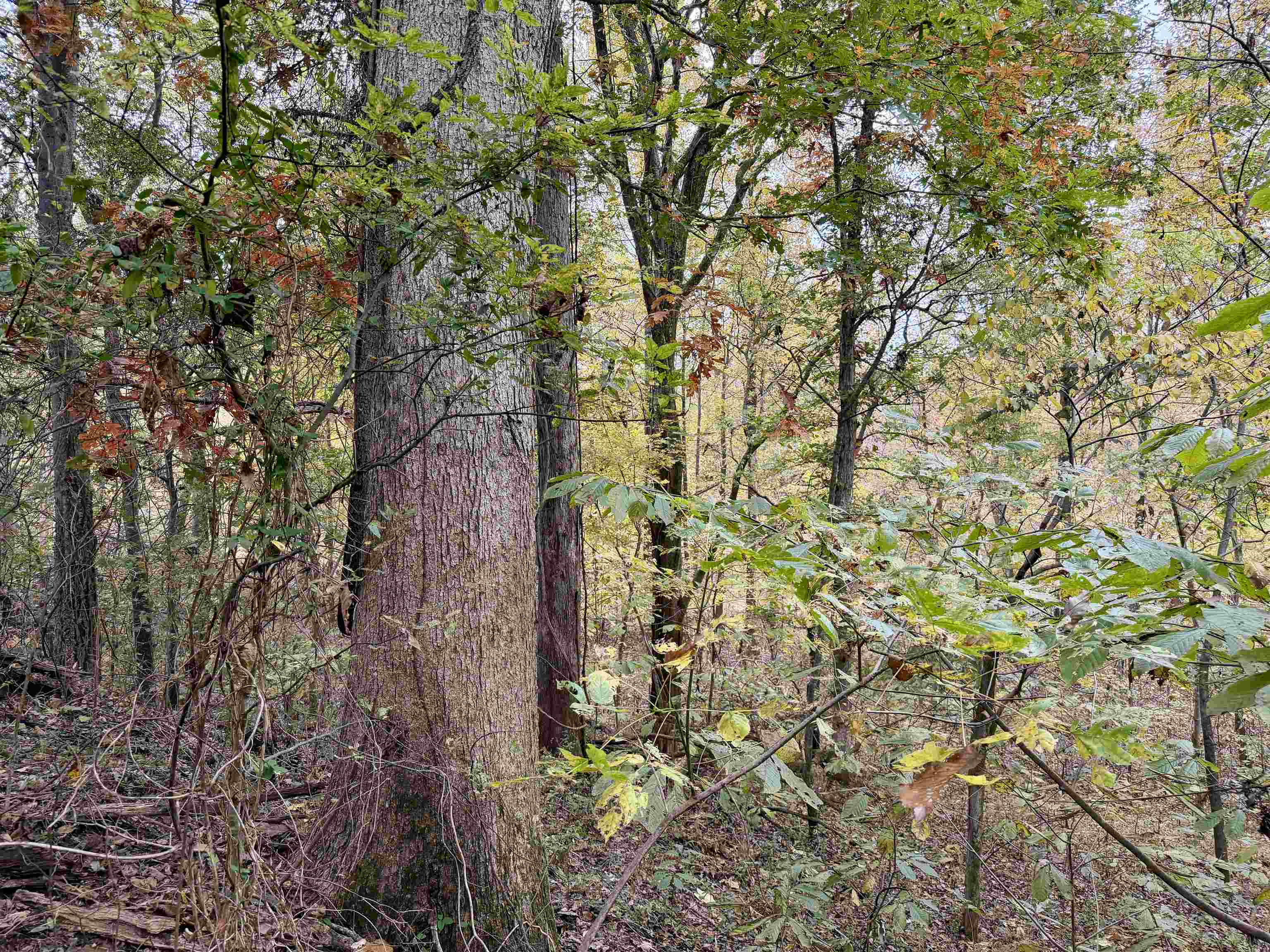 William Switch Rd Property Photo 3