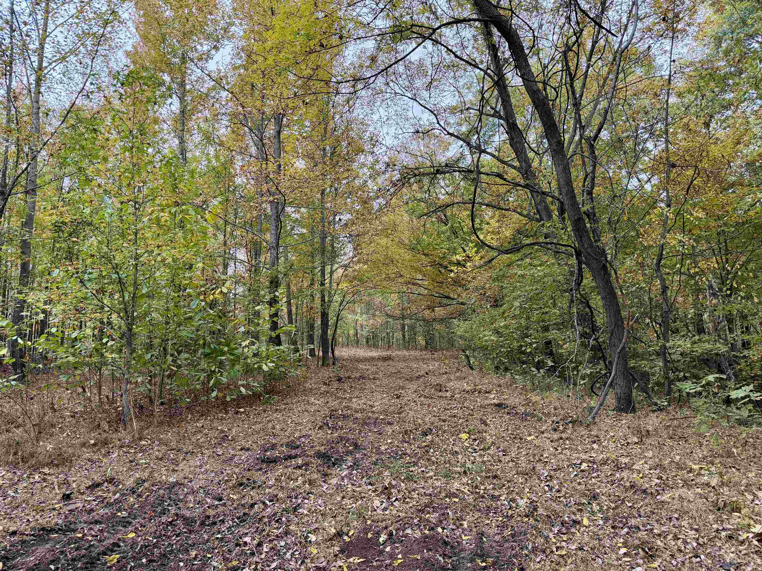 William Switch Rd Property Photo 4