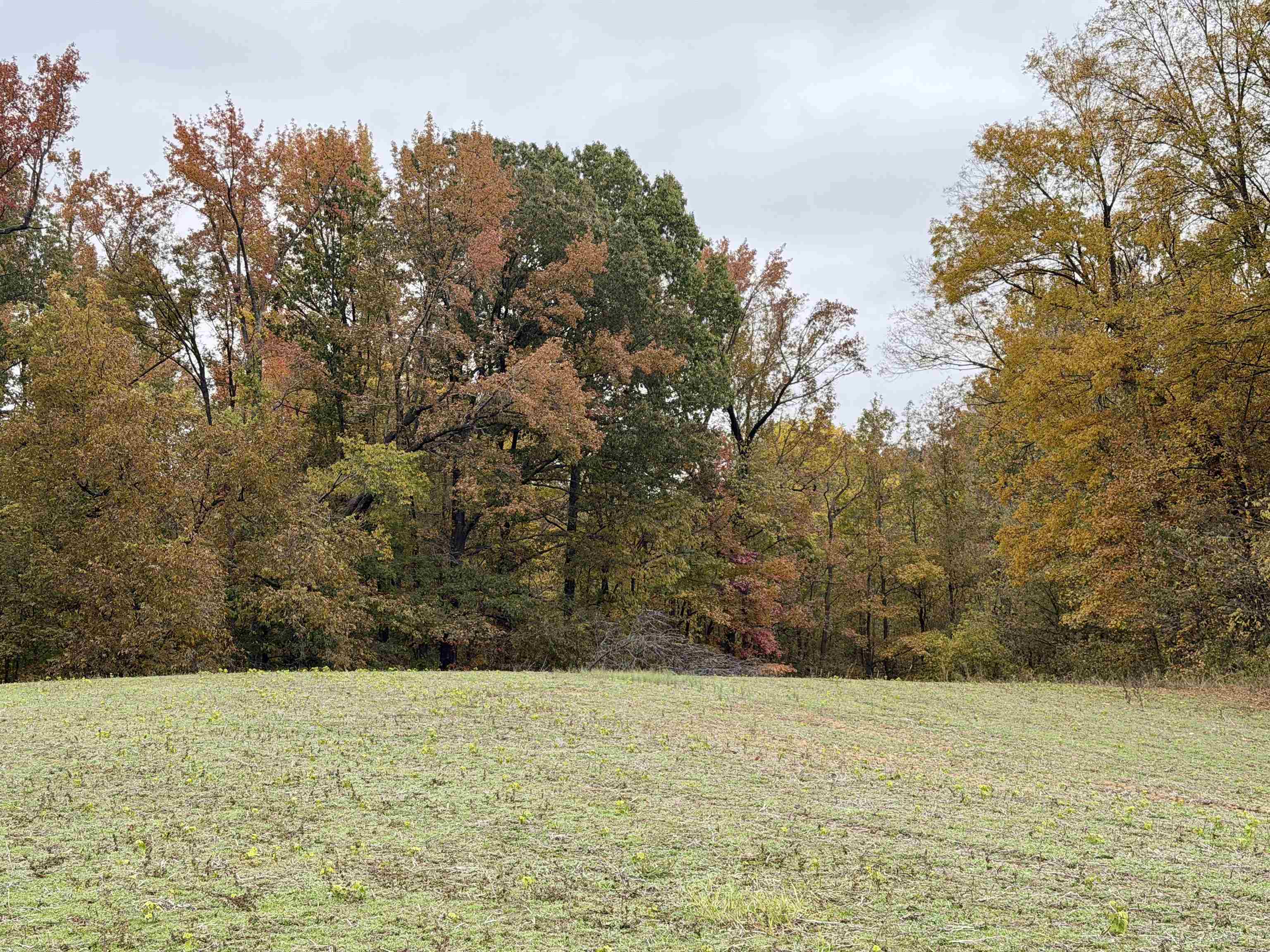 William Switch Rd Property Photo 5