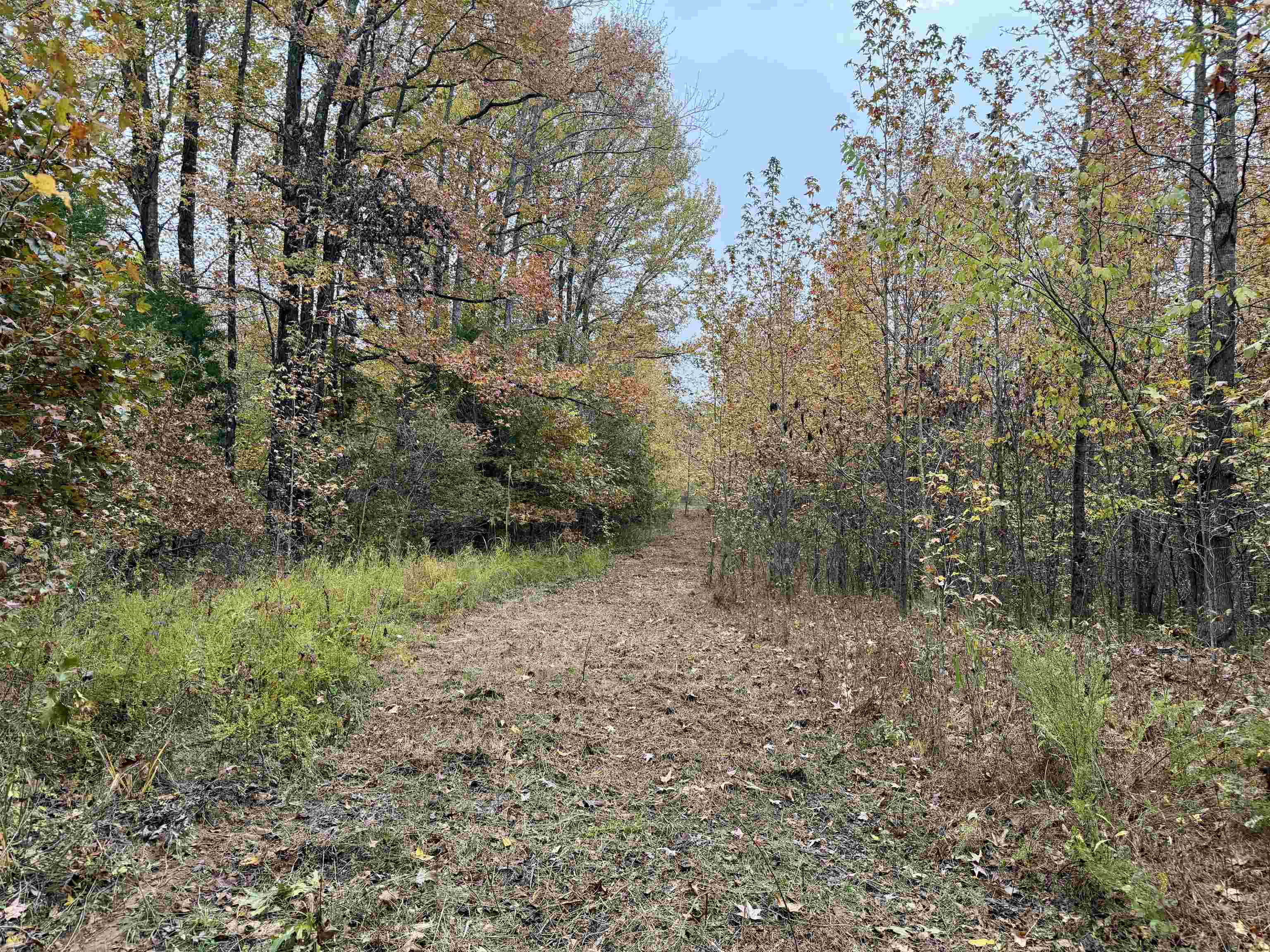 William Switch Rd Property Photo 11