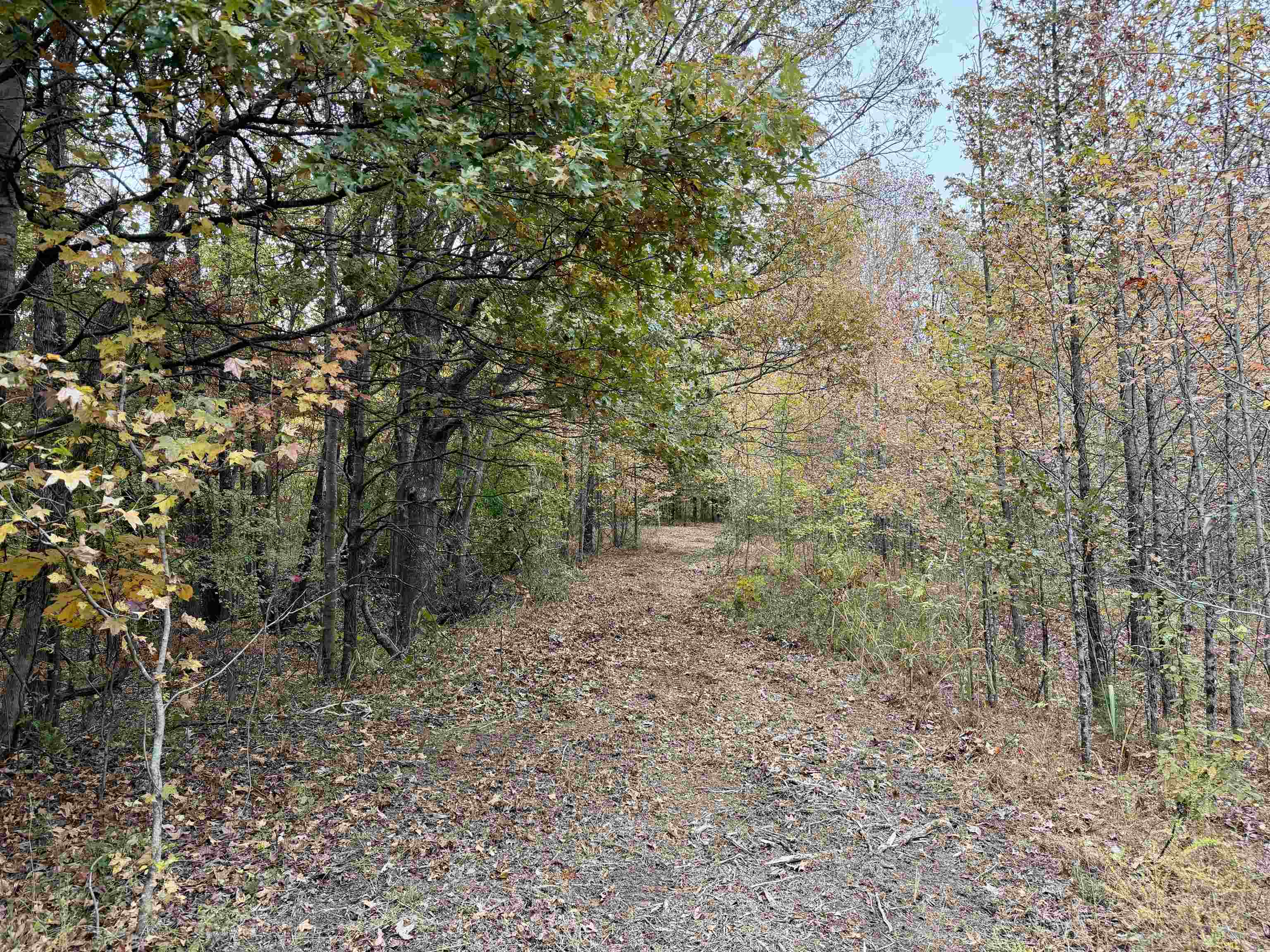 William Switch Rd Property Photo 12