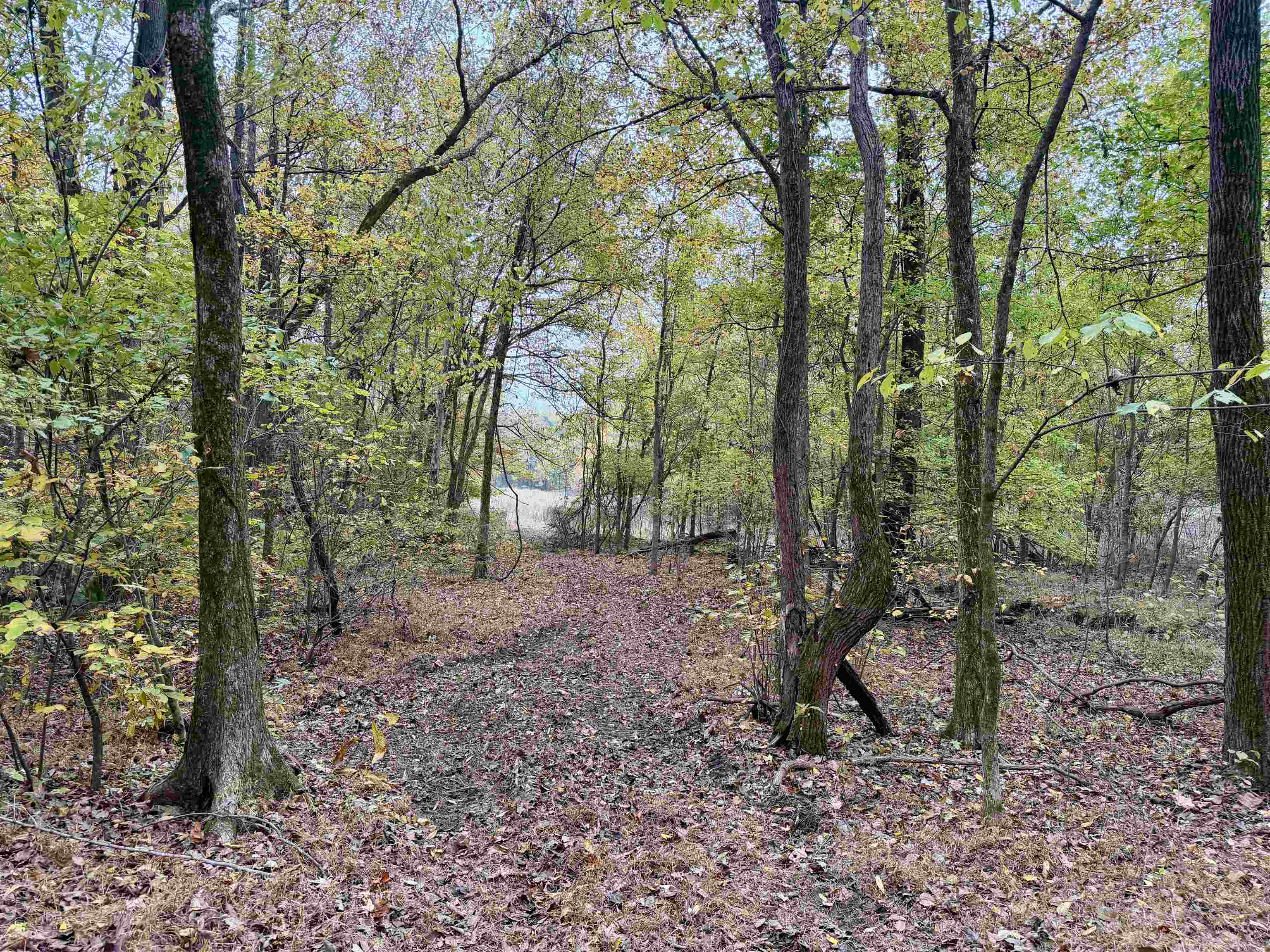 William Switch Rd Property Photo 13