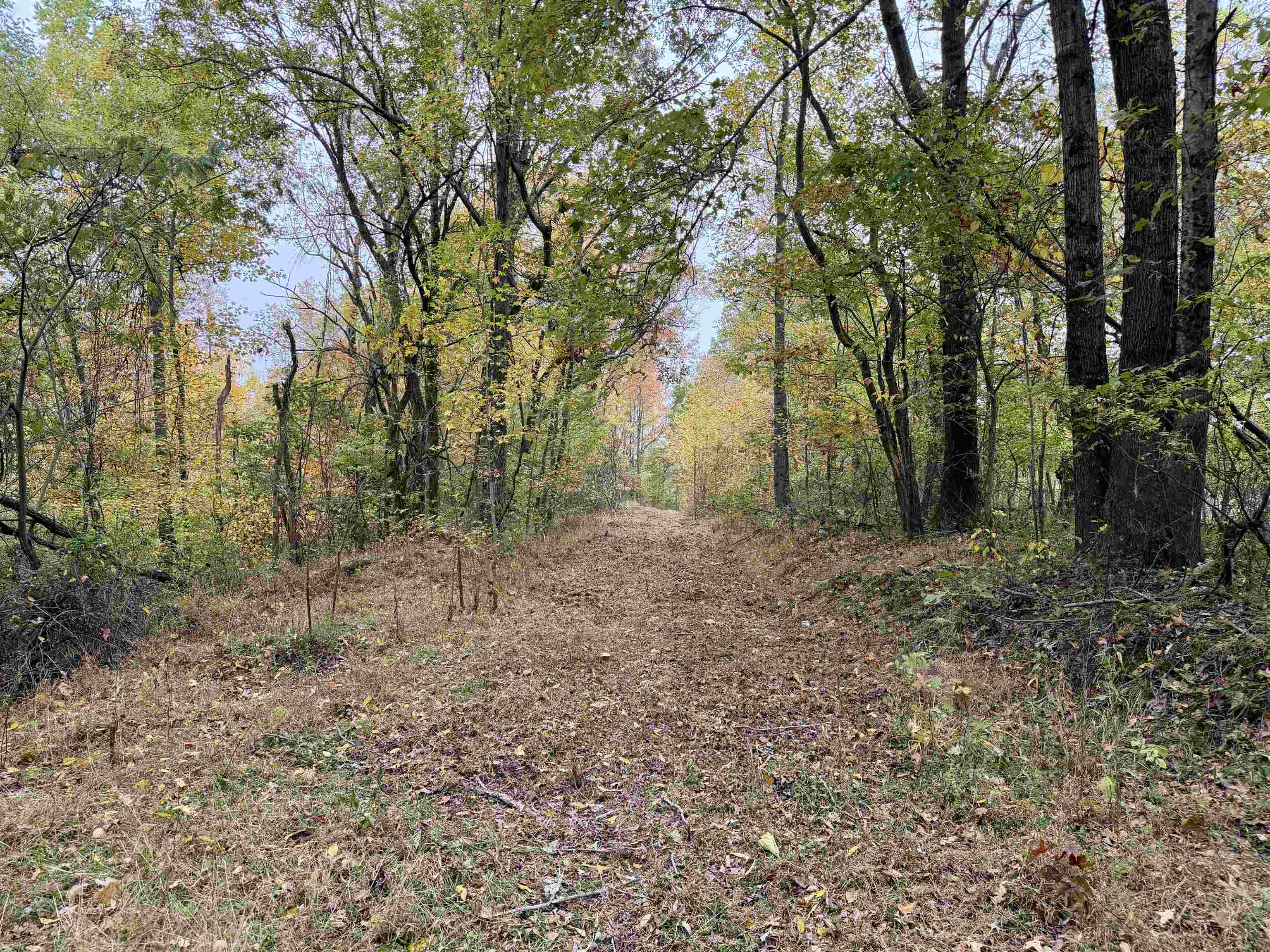 William Switch Rd Property Photo 14