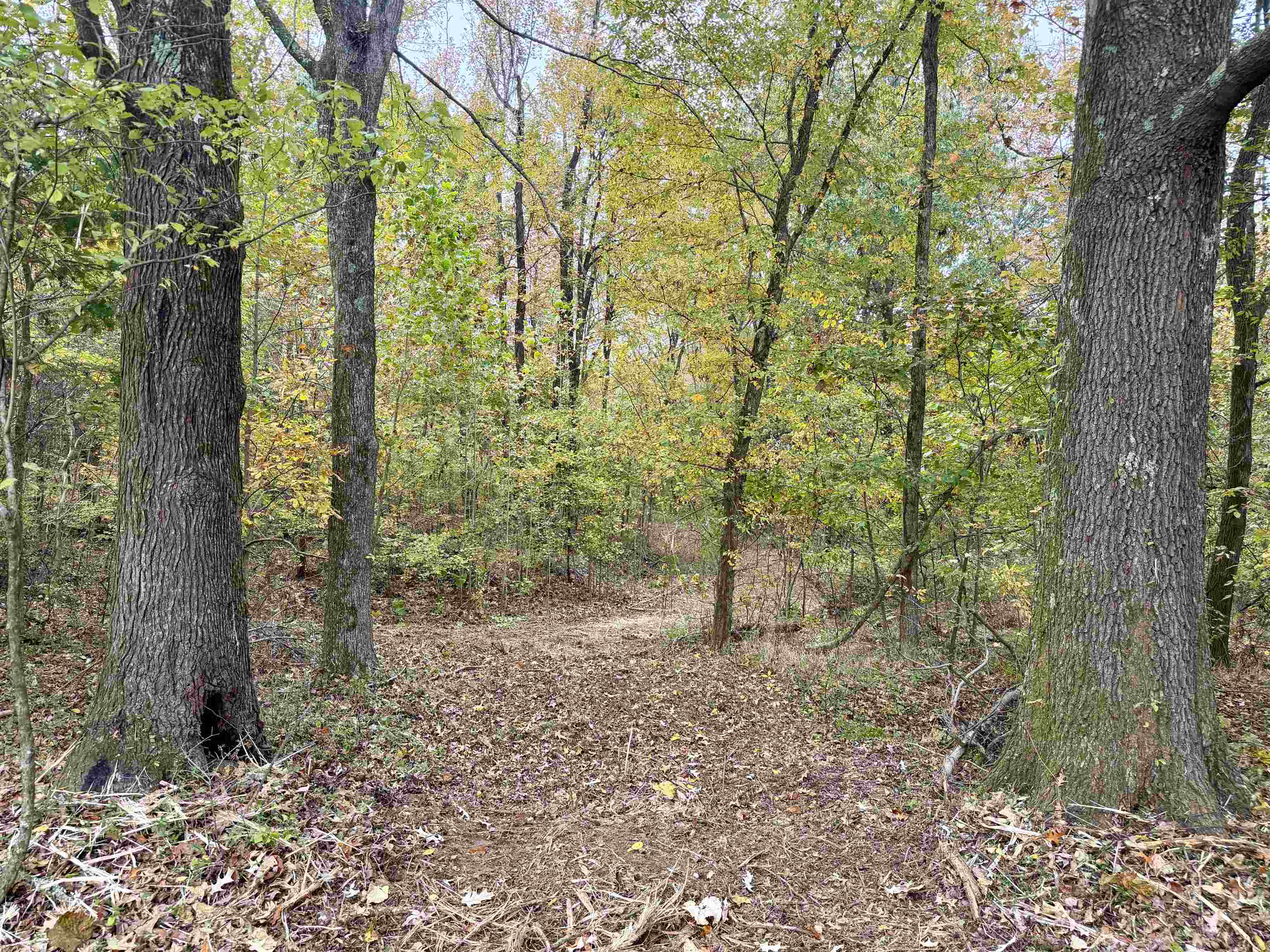William Switch Rd Property Photo 16