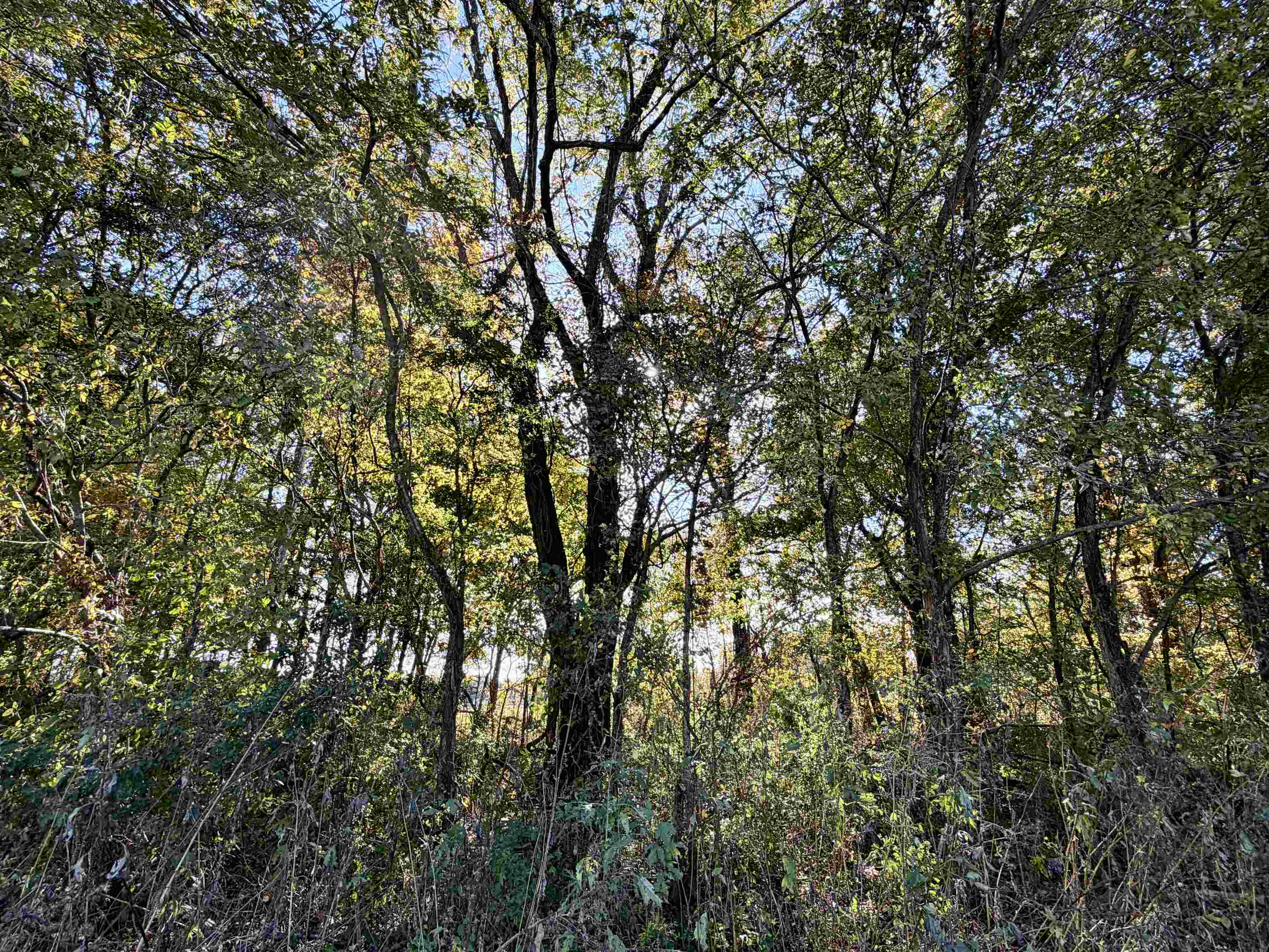 William Switch Rd Property Photo 17