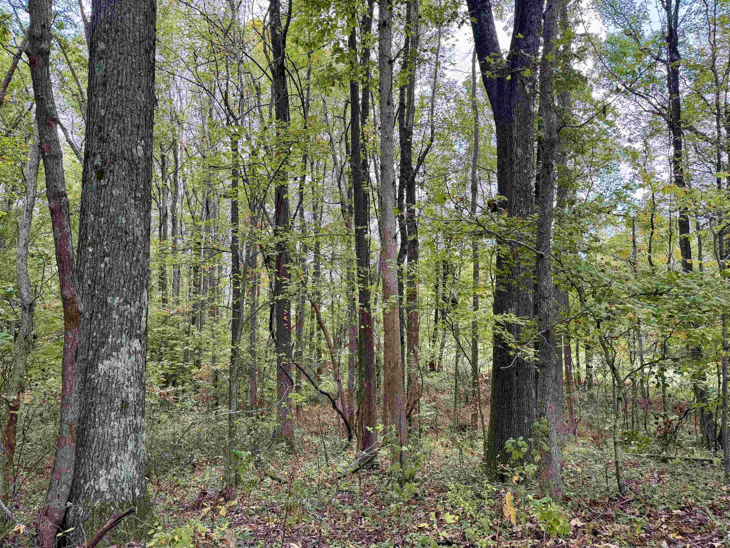 William Switch Rd Property Photo 19