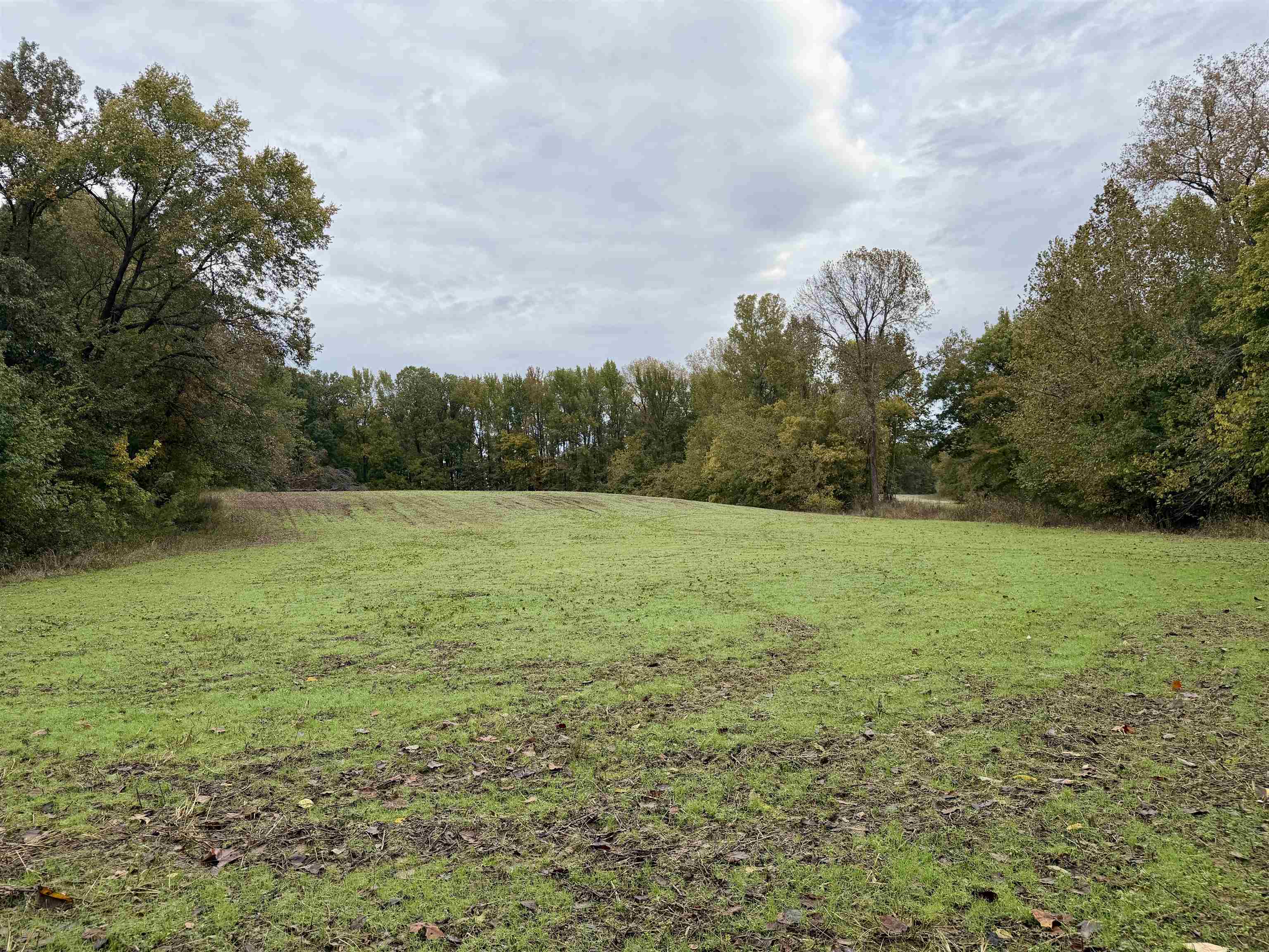 William Switch Rd Property Photo 20