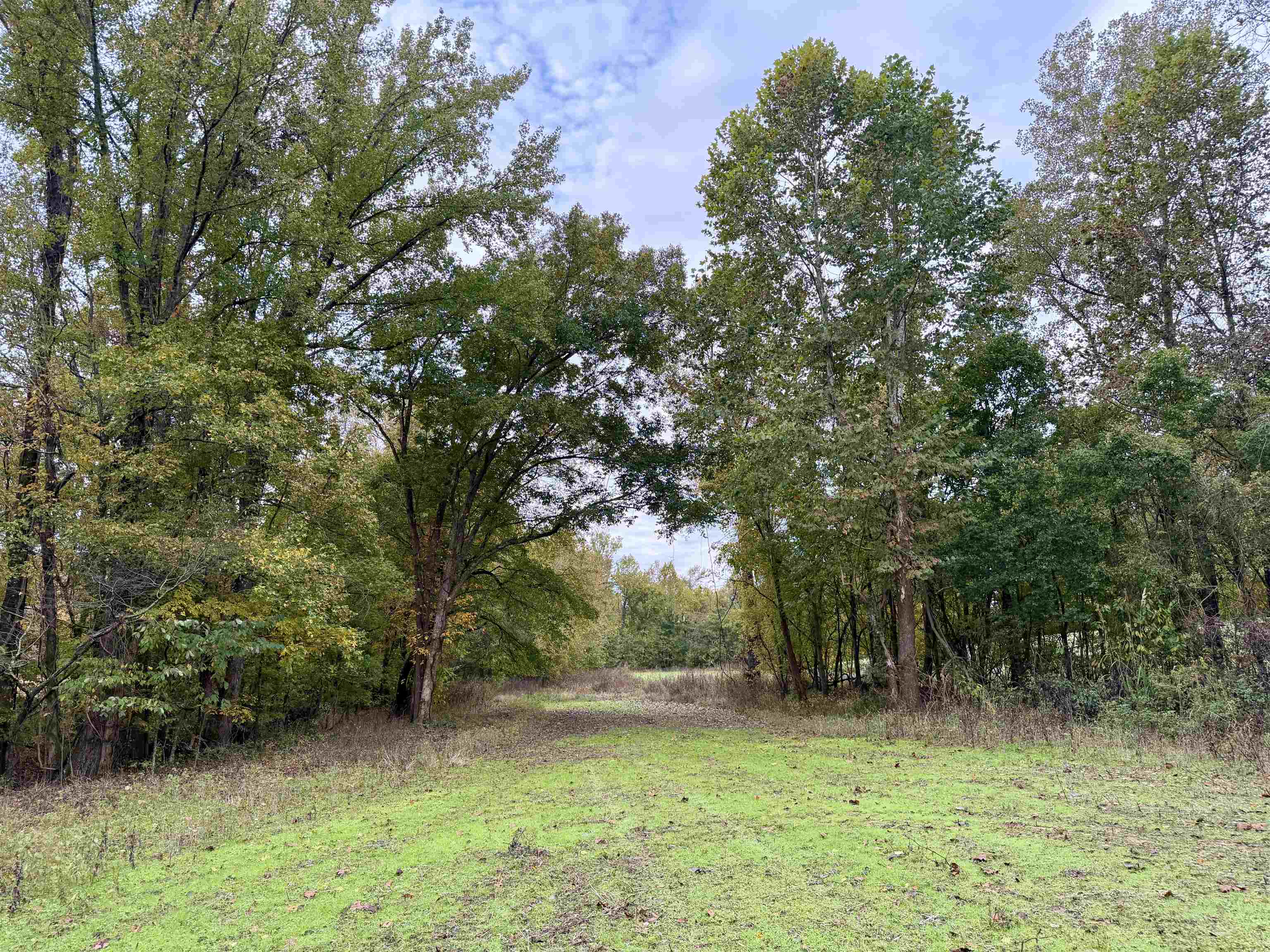 William Switch Rd Property Photo 21