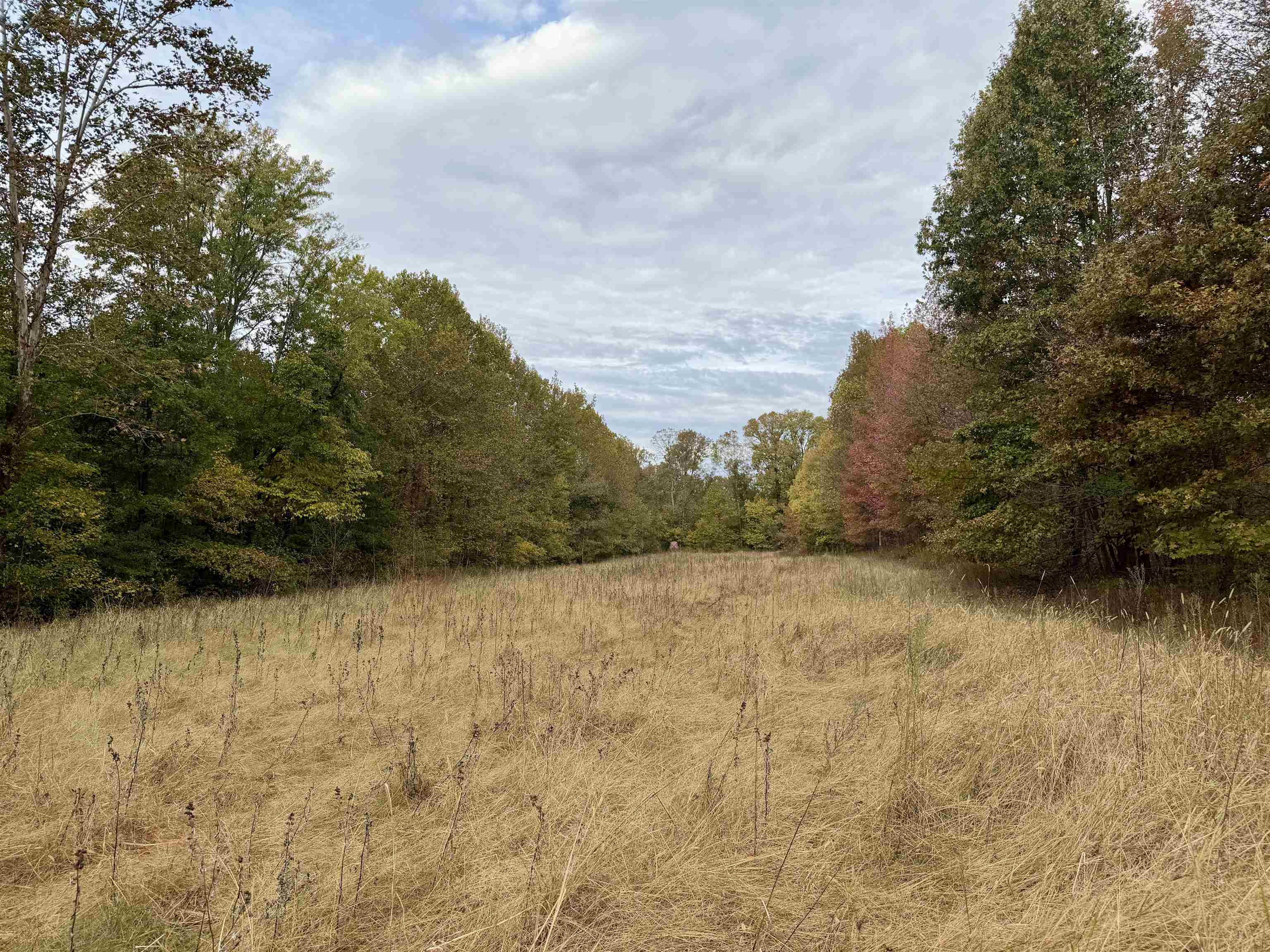 William Switch Rd Property Photo 23