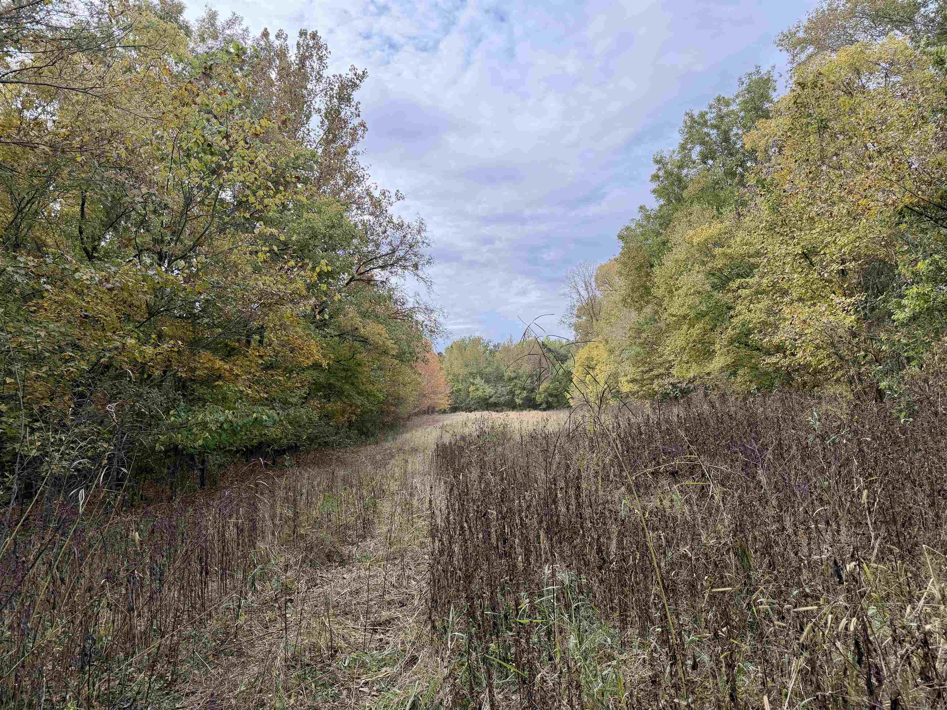 William Switch Rd Property Photo 24