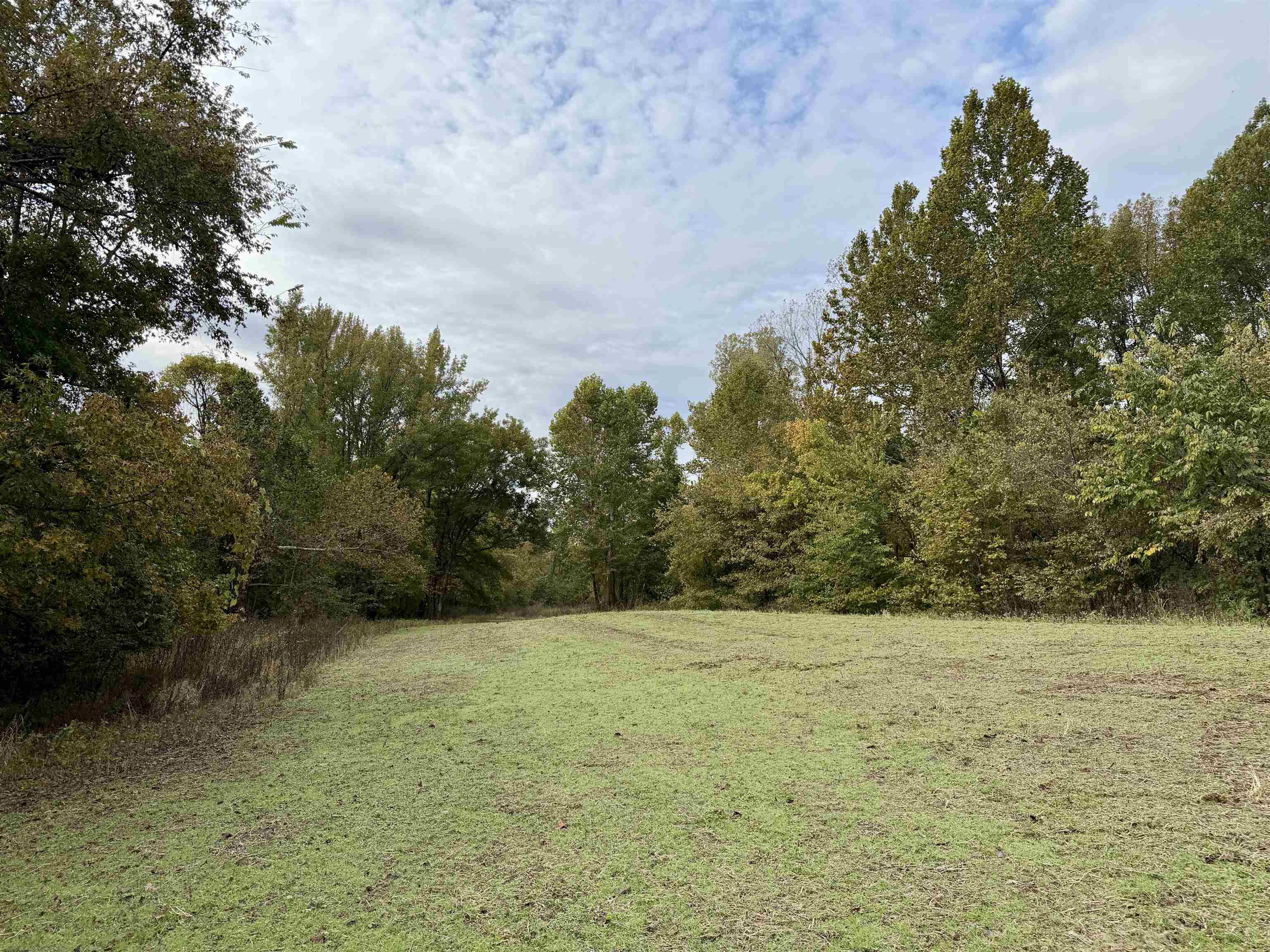 William Switch Rd Property Photo 25