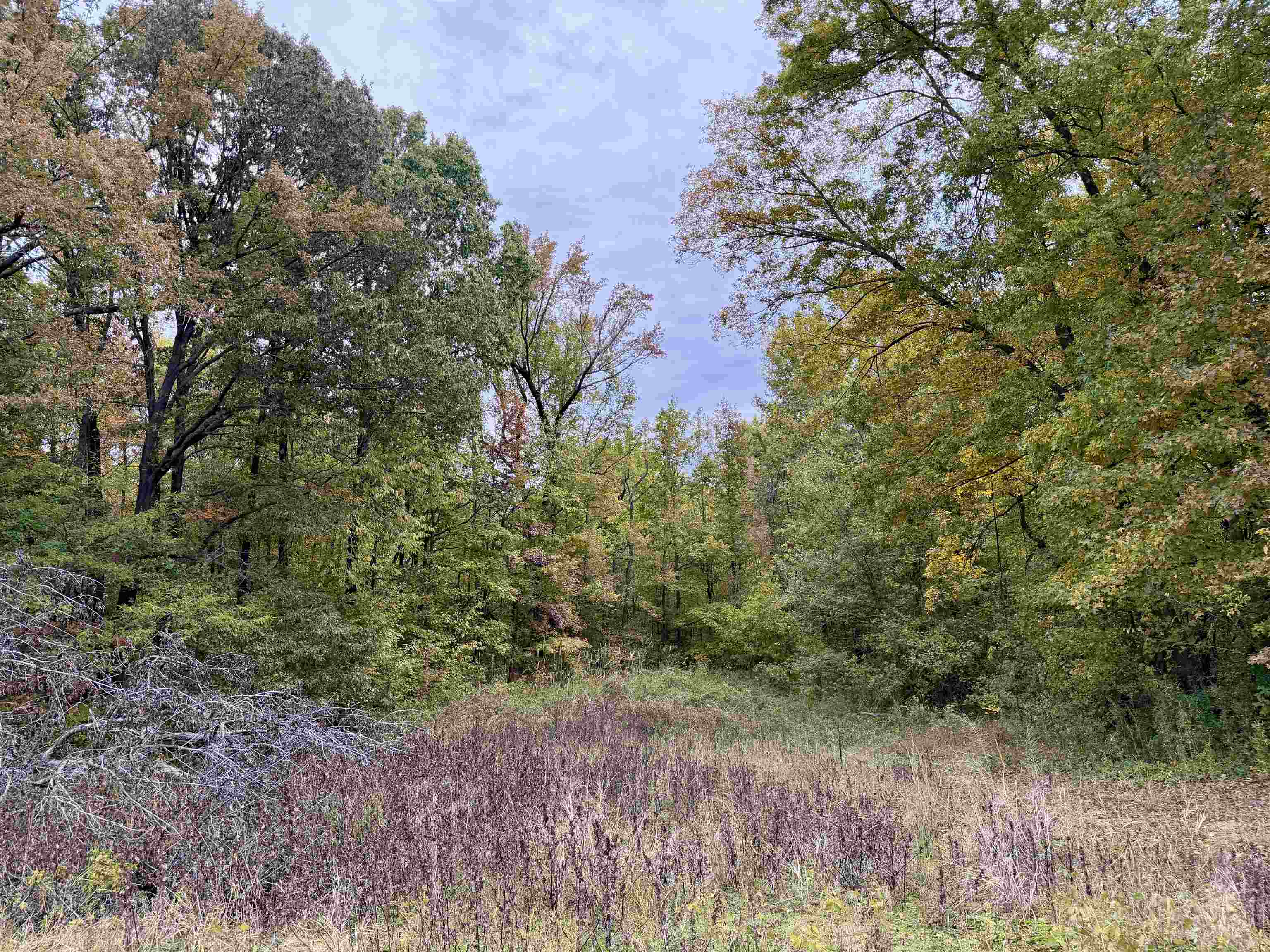 William Switch Rd Property Photo 26