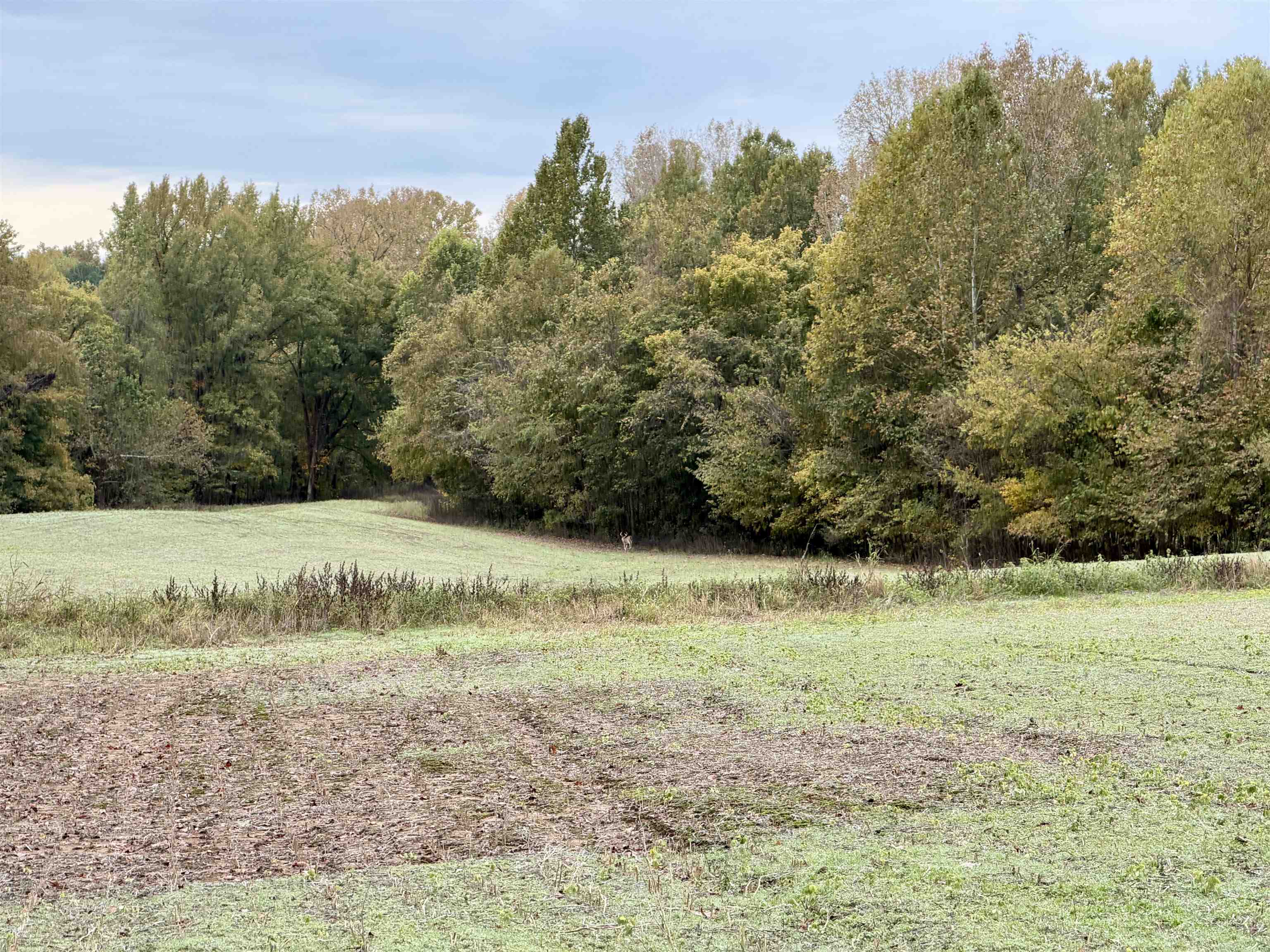 William Switch Rd Property Photo 27