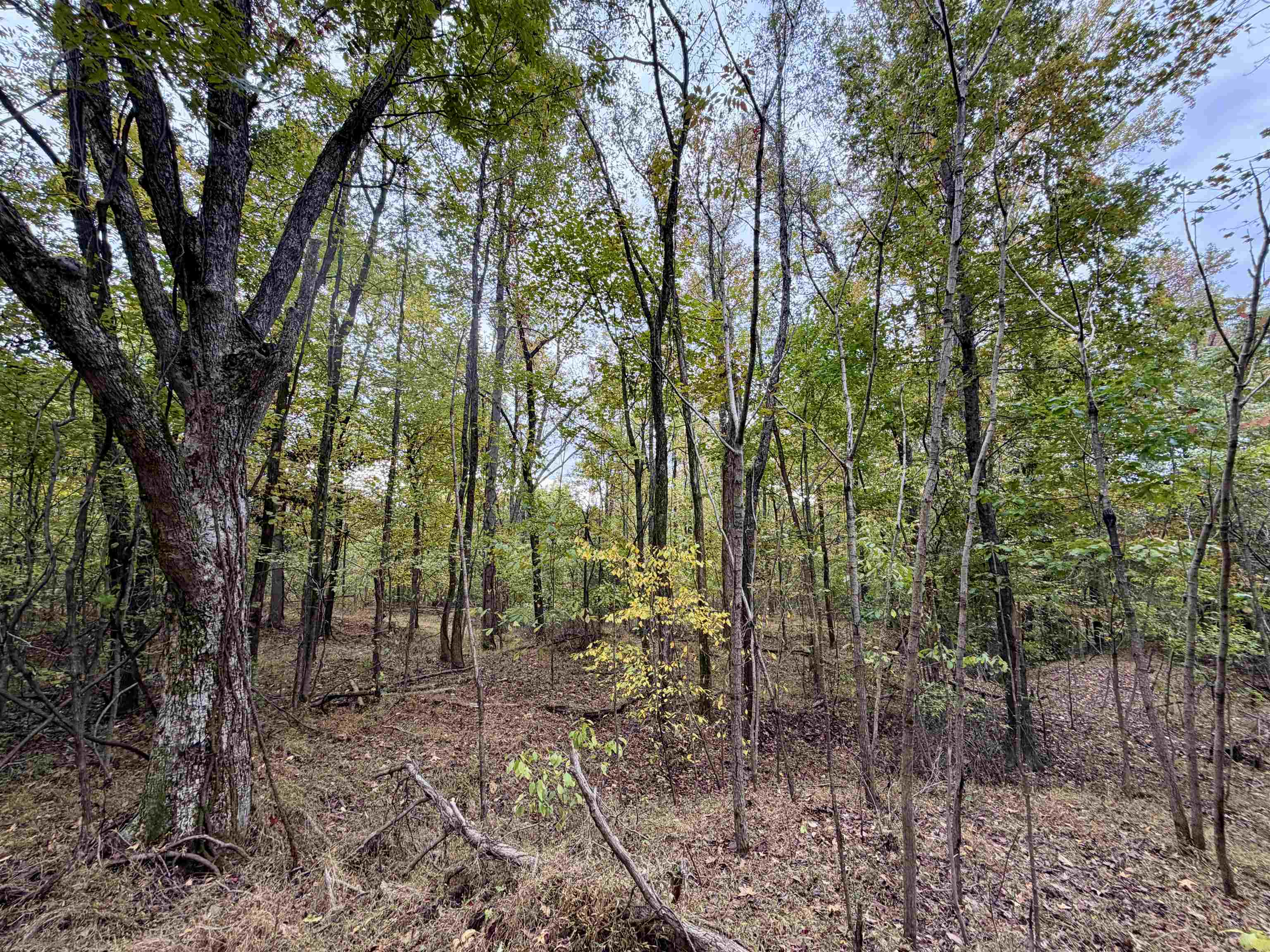 William Switch Rd Property Photo 28