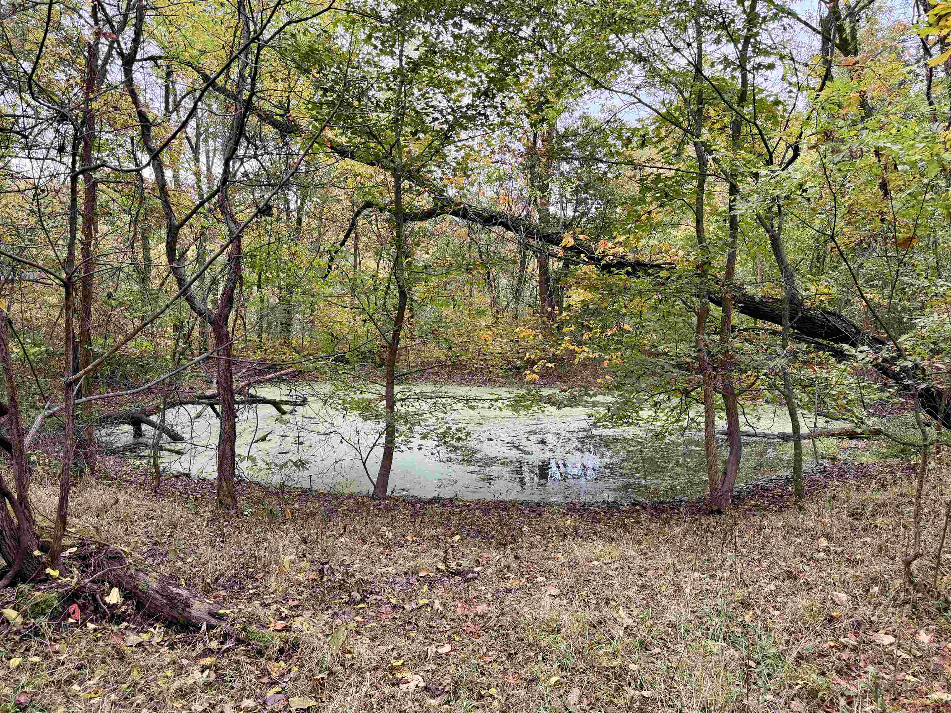 William Switch Rd Property Photo 29