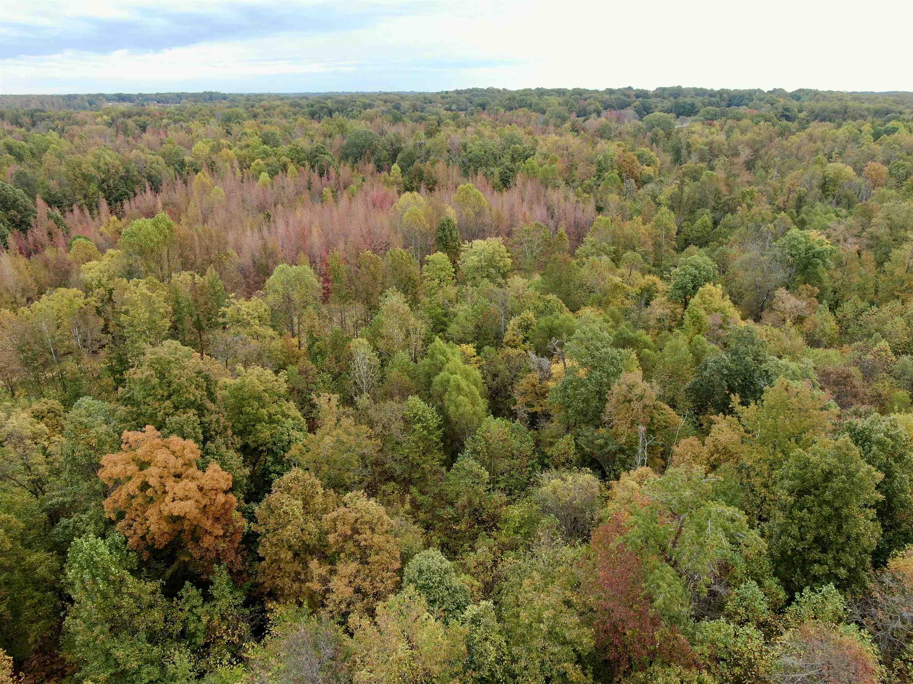 William Switch Rd Property Photo 31