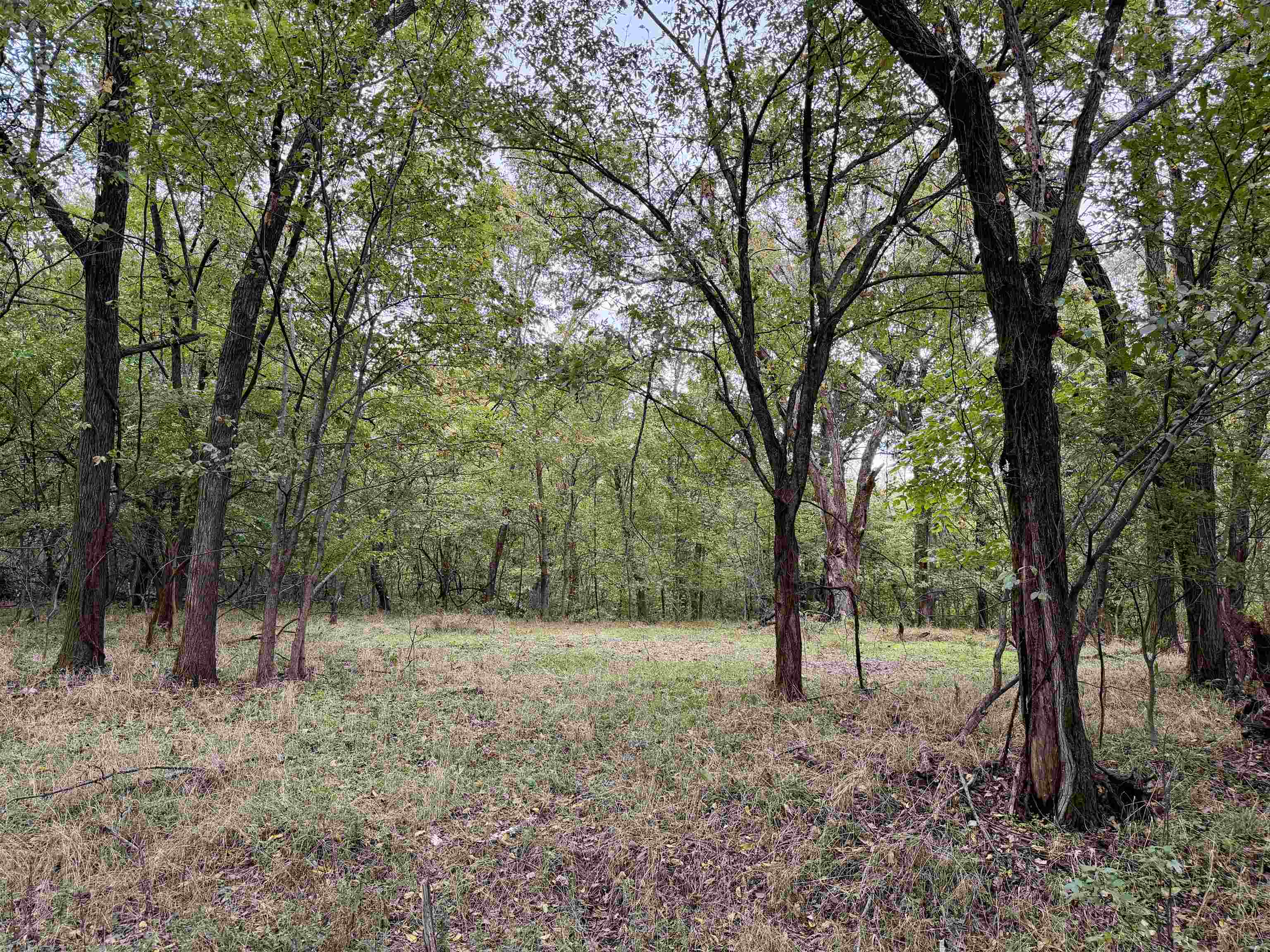 William Switch Rd Property Photo 33