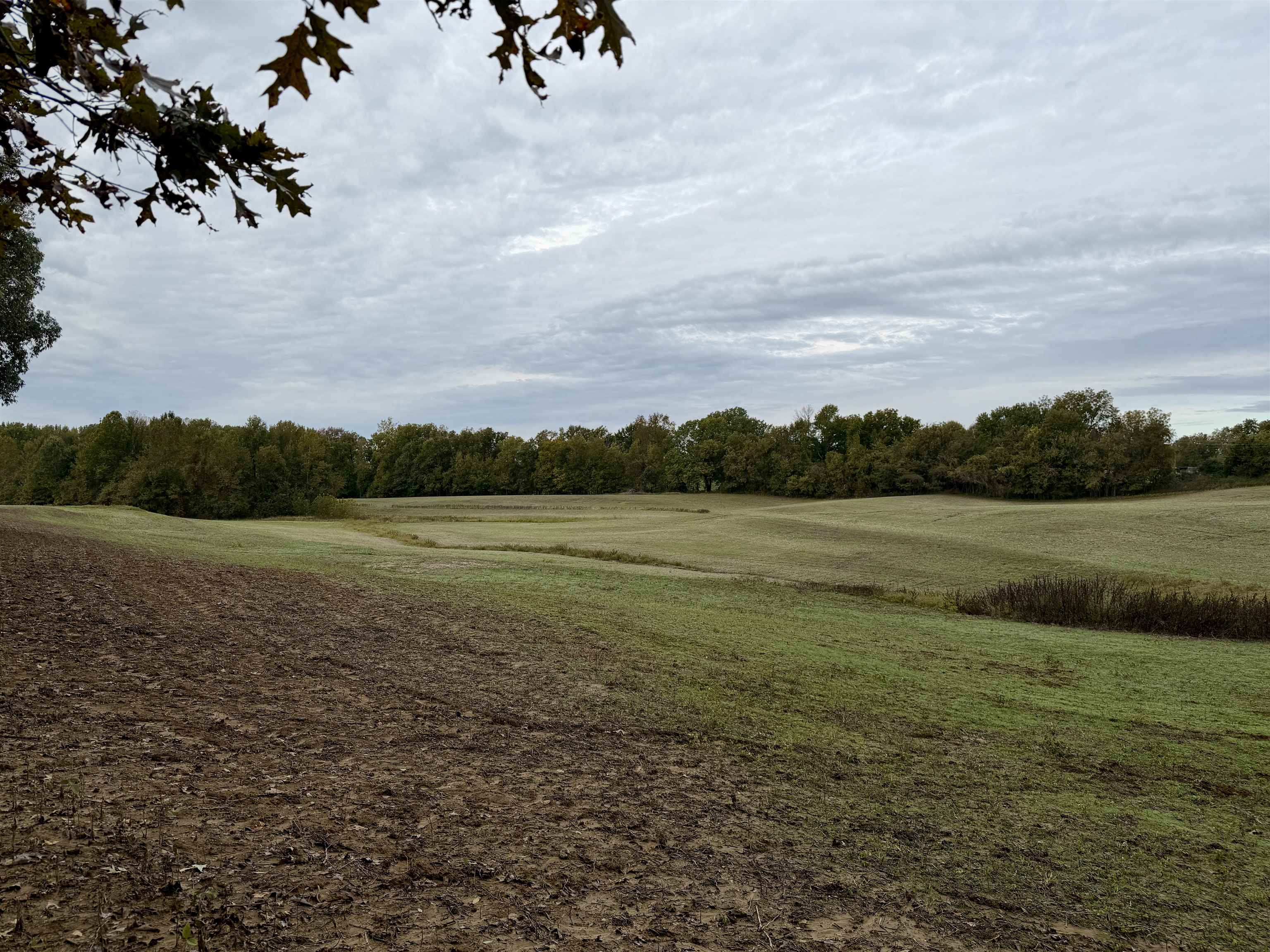 William Switch Rd Property Photo 34