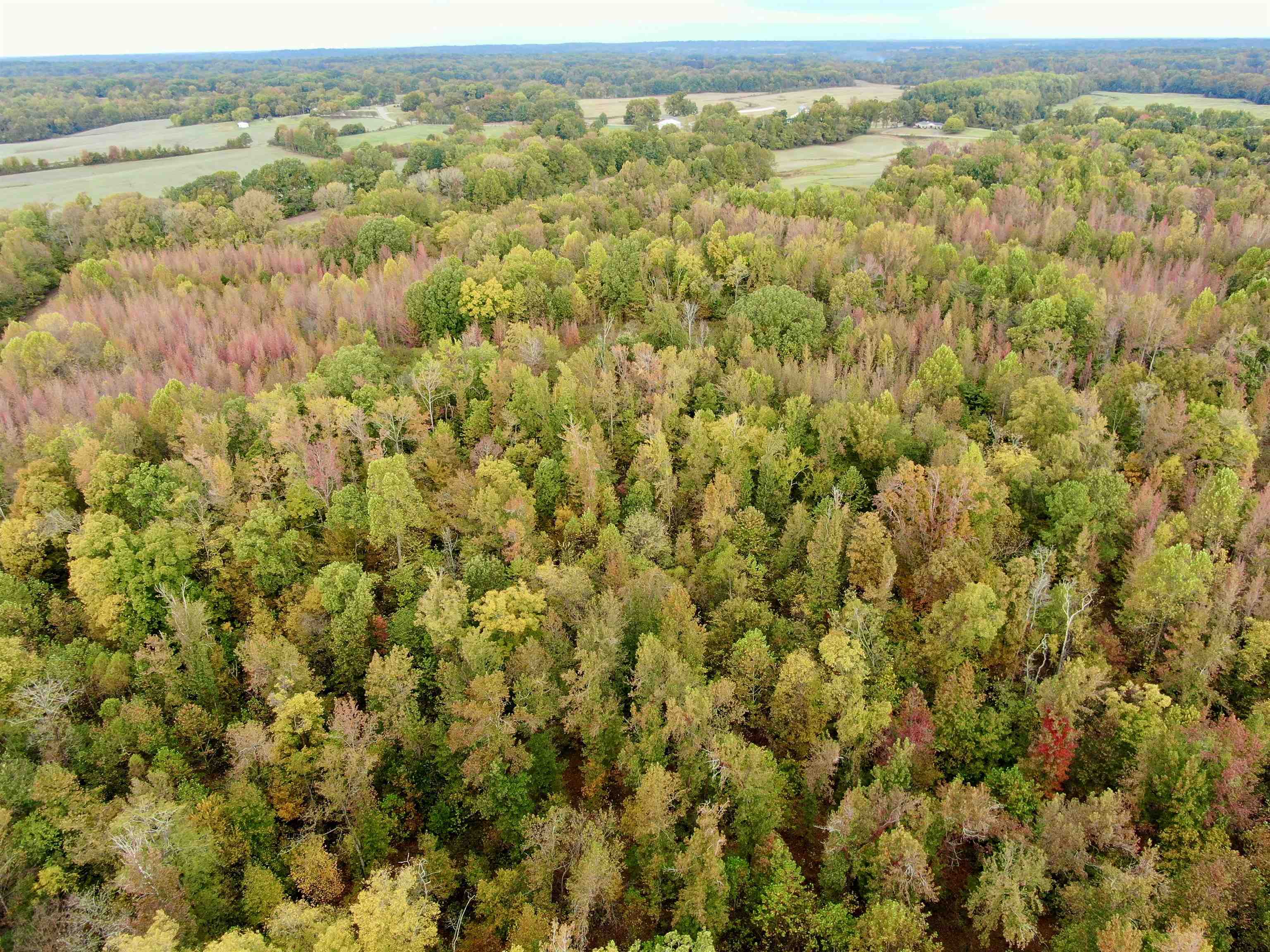 William Switch Rd Property Photo 36